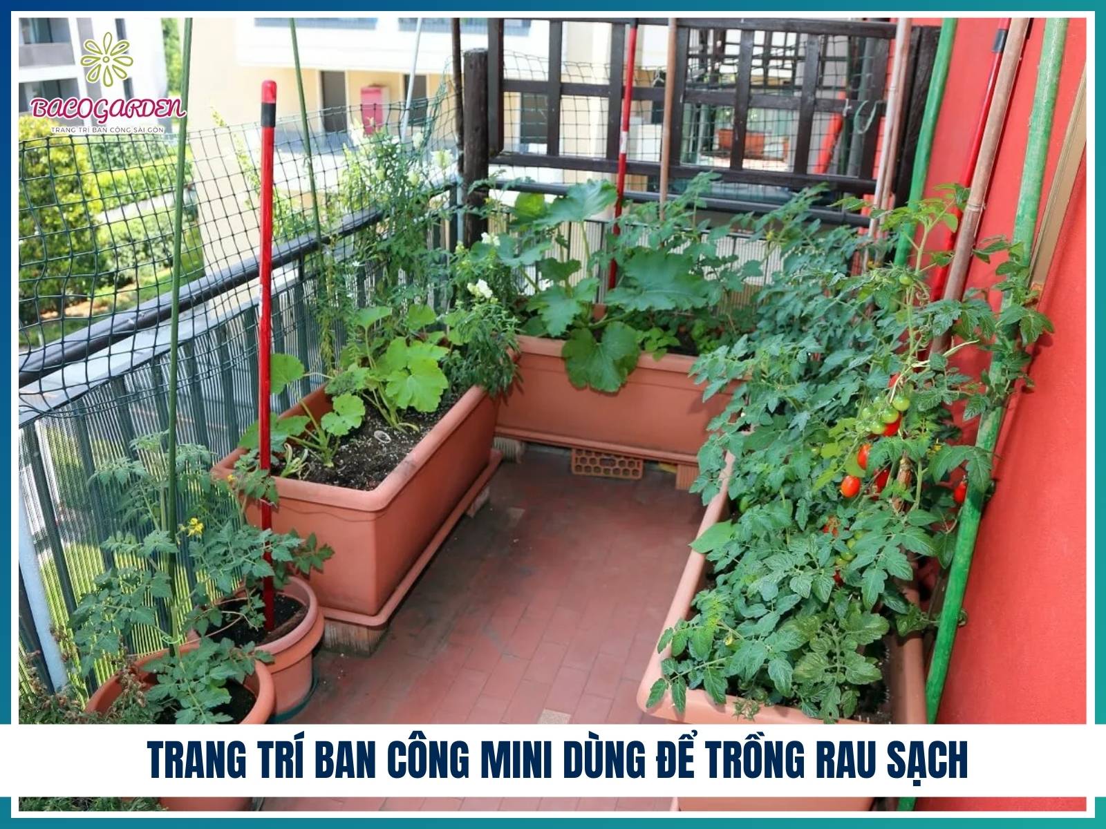 Ban cong mini dung de trong rau sach