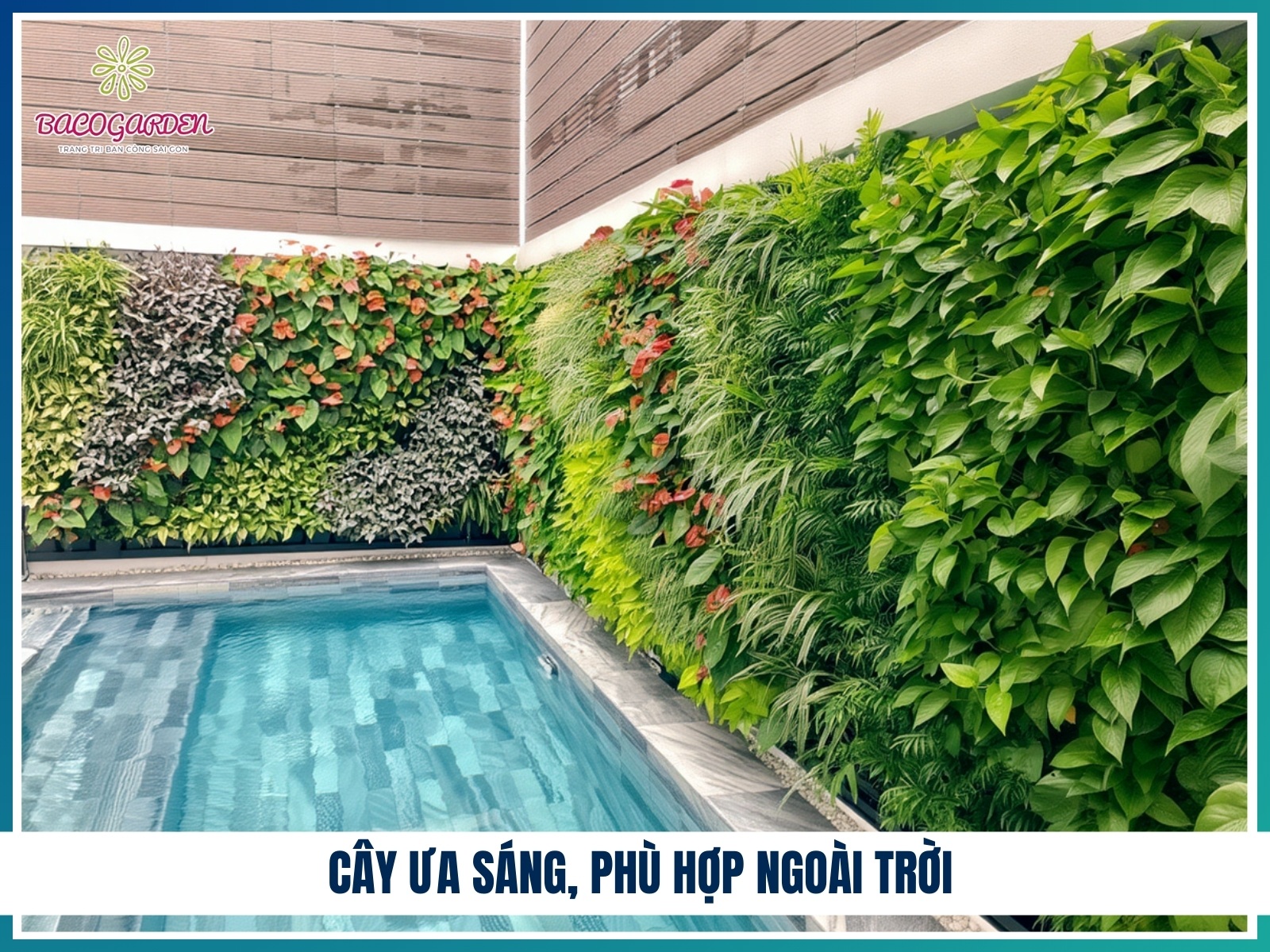 Cay ua sang phu hop ngoai troi