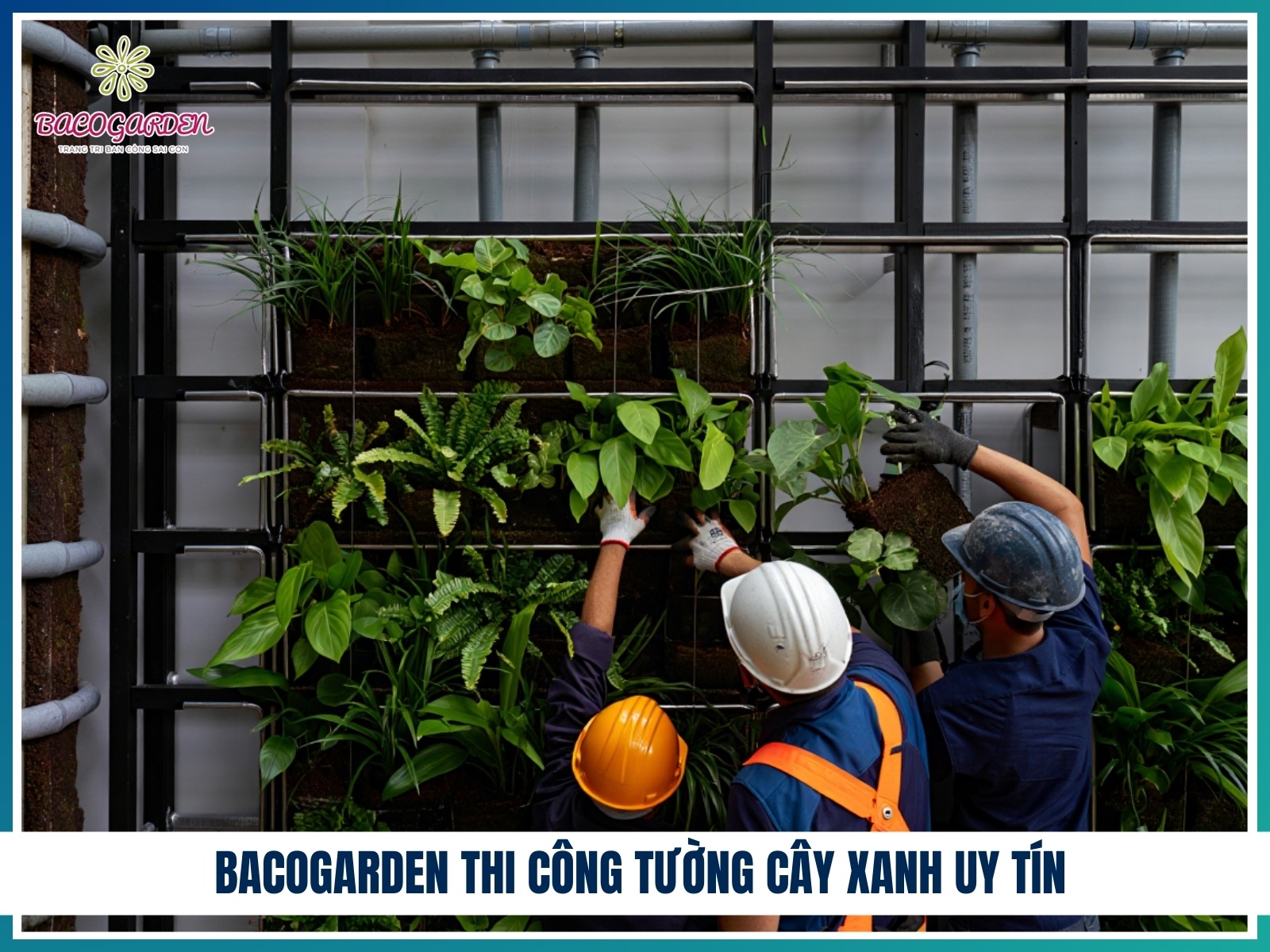 BACOGARDEN thi cong tuong cay xanh uy tin