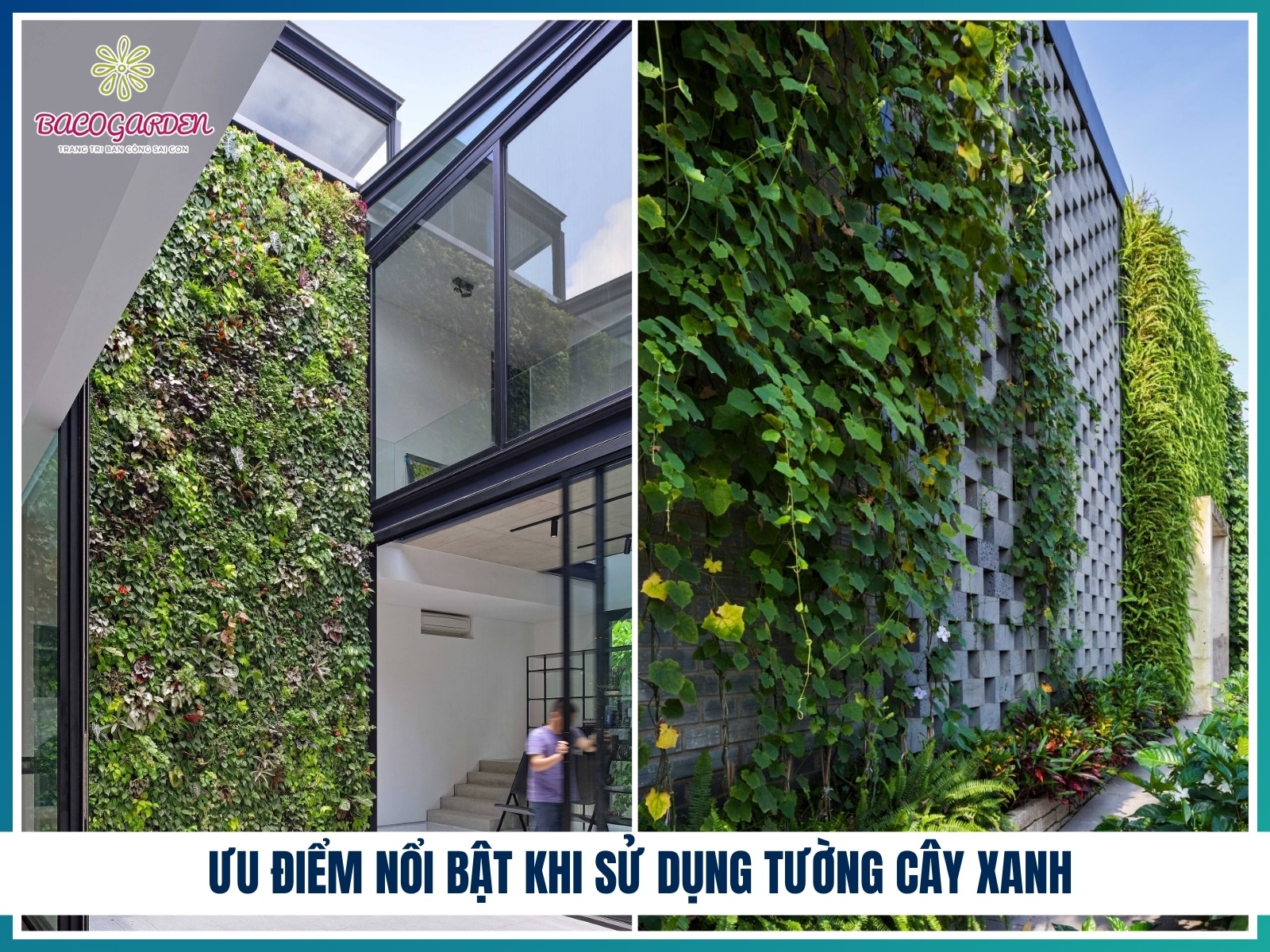 Uu diem noi bat khi su dung tuong cay xanh