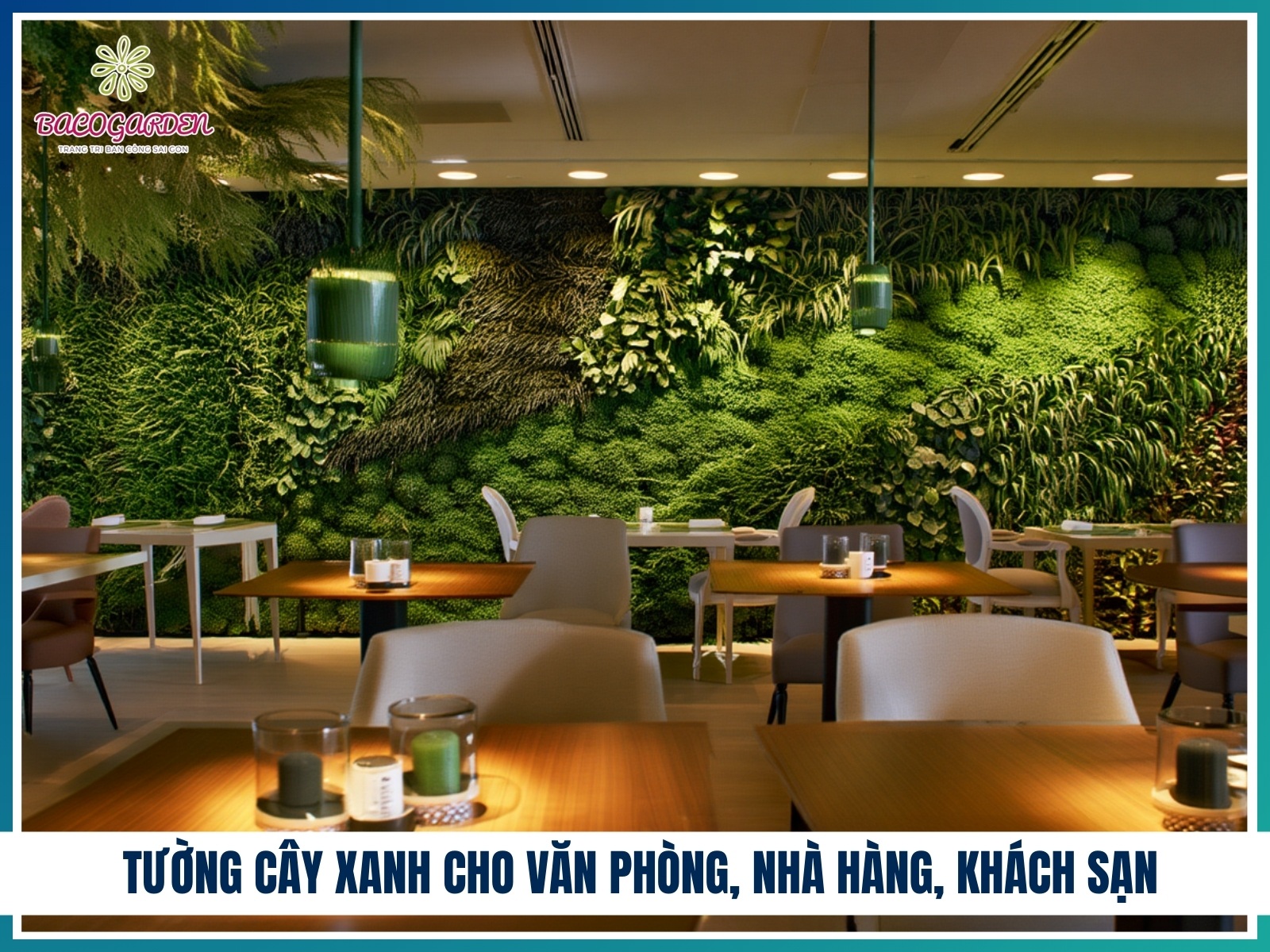 Tuong cay xanh cho van phong nha hang khach san