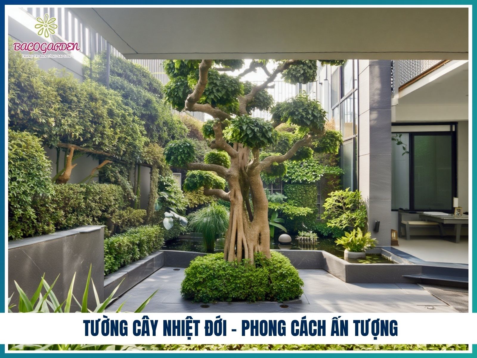 Tuong cay nhiet doi – phong cach an tuong