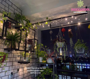 Giàn treo hoa bằng sắt