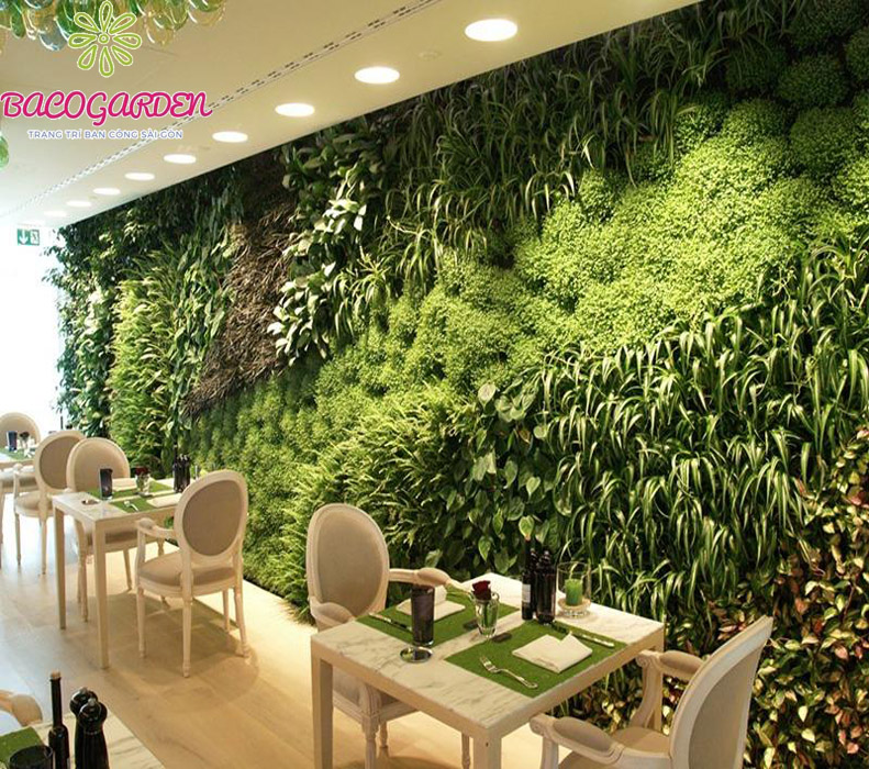 Tường cây xanh với nhiều loại cây phù hợp