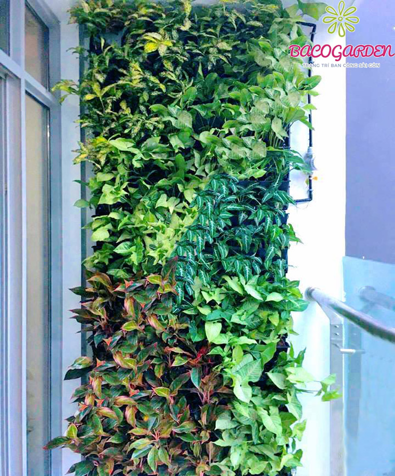 Tường cây xanh cho chung cư