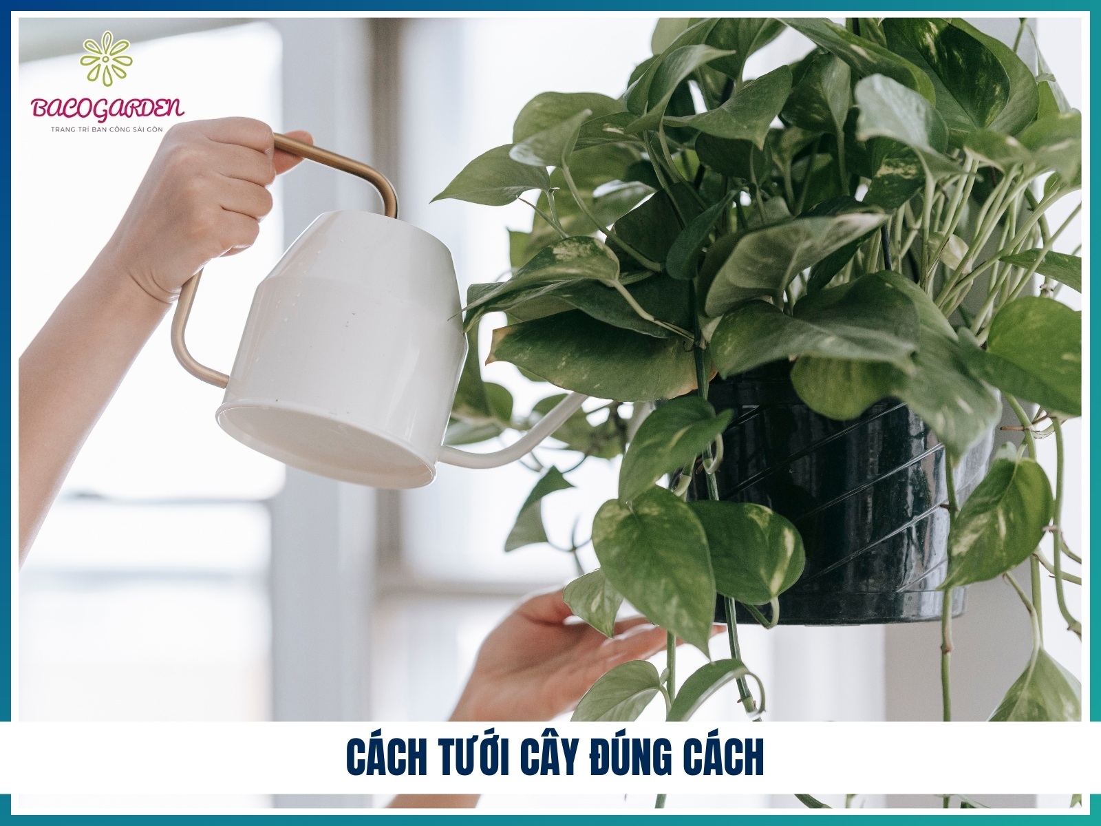 Cach tuoi nuoc dung cach