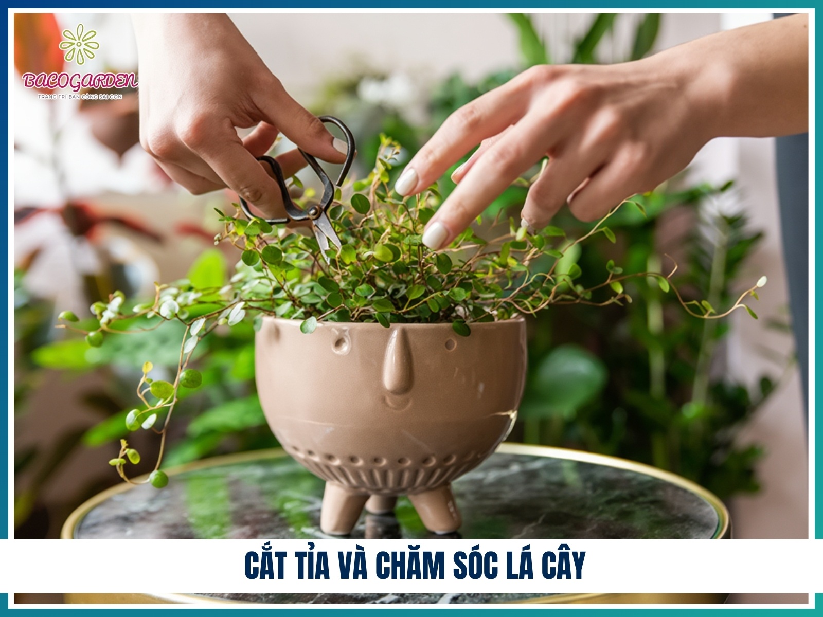 Cat tia va cham soc la