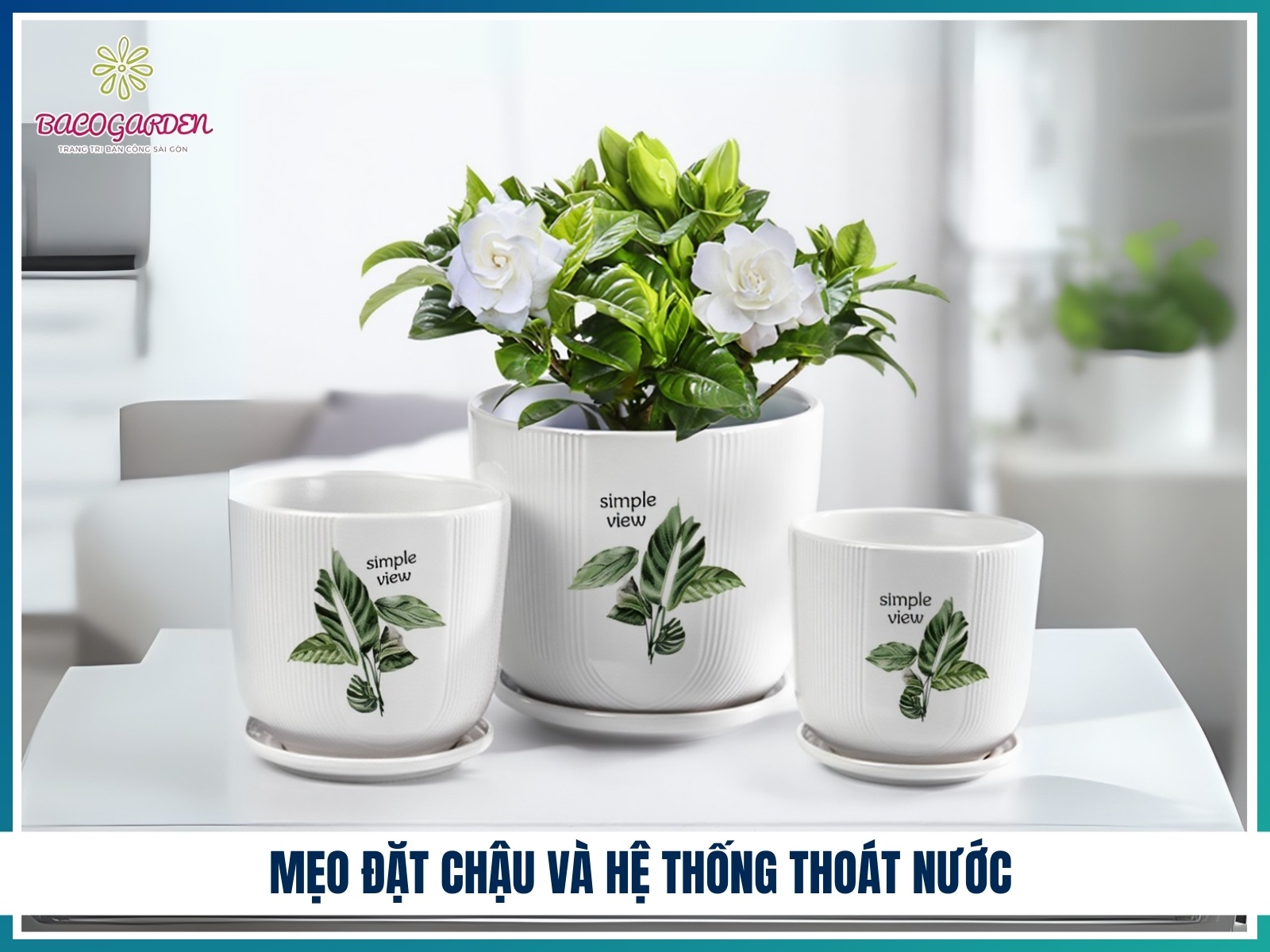 Meo dat chau va he thong thoat nuoc