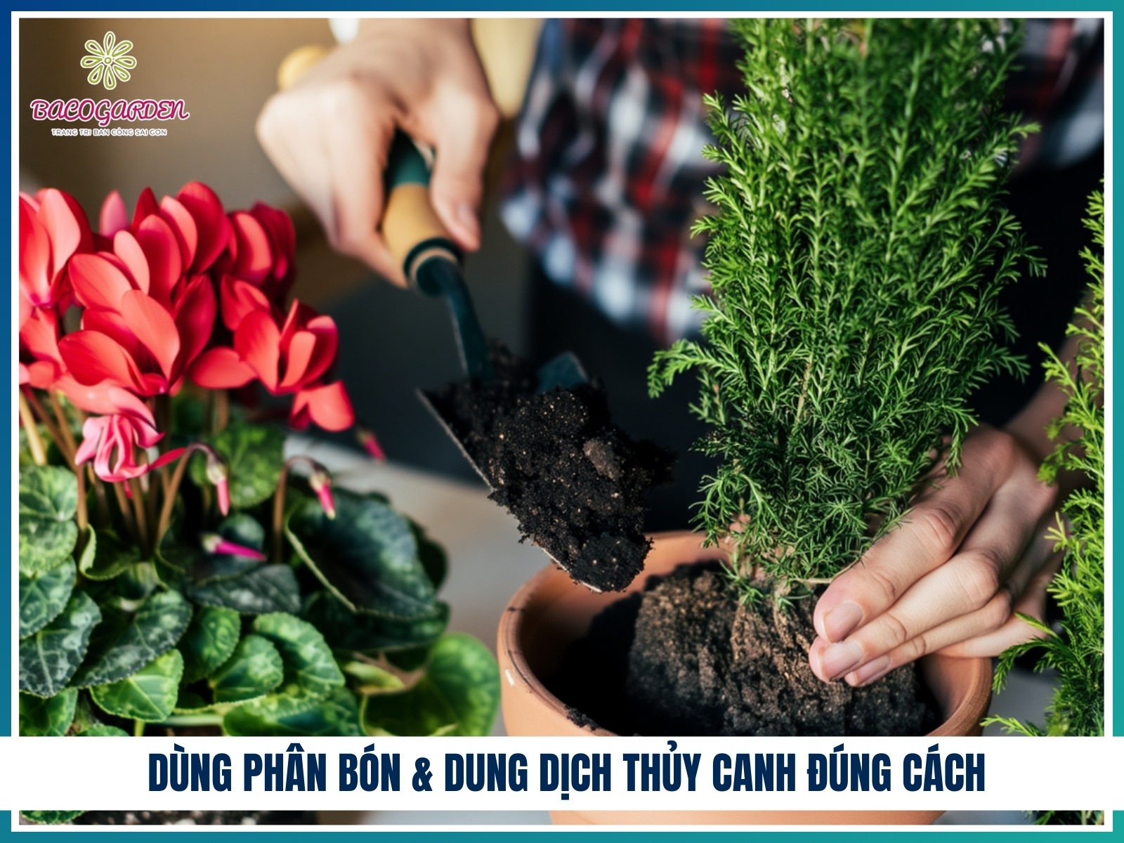 Dung phan bon dung dich thuy canh dung cach