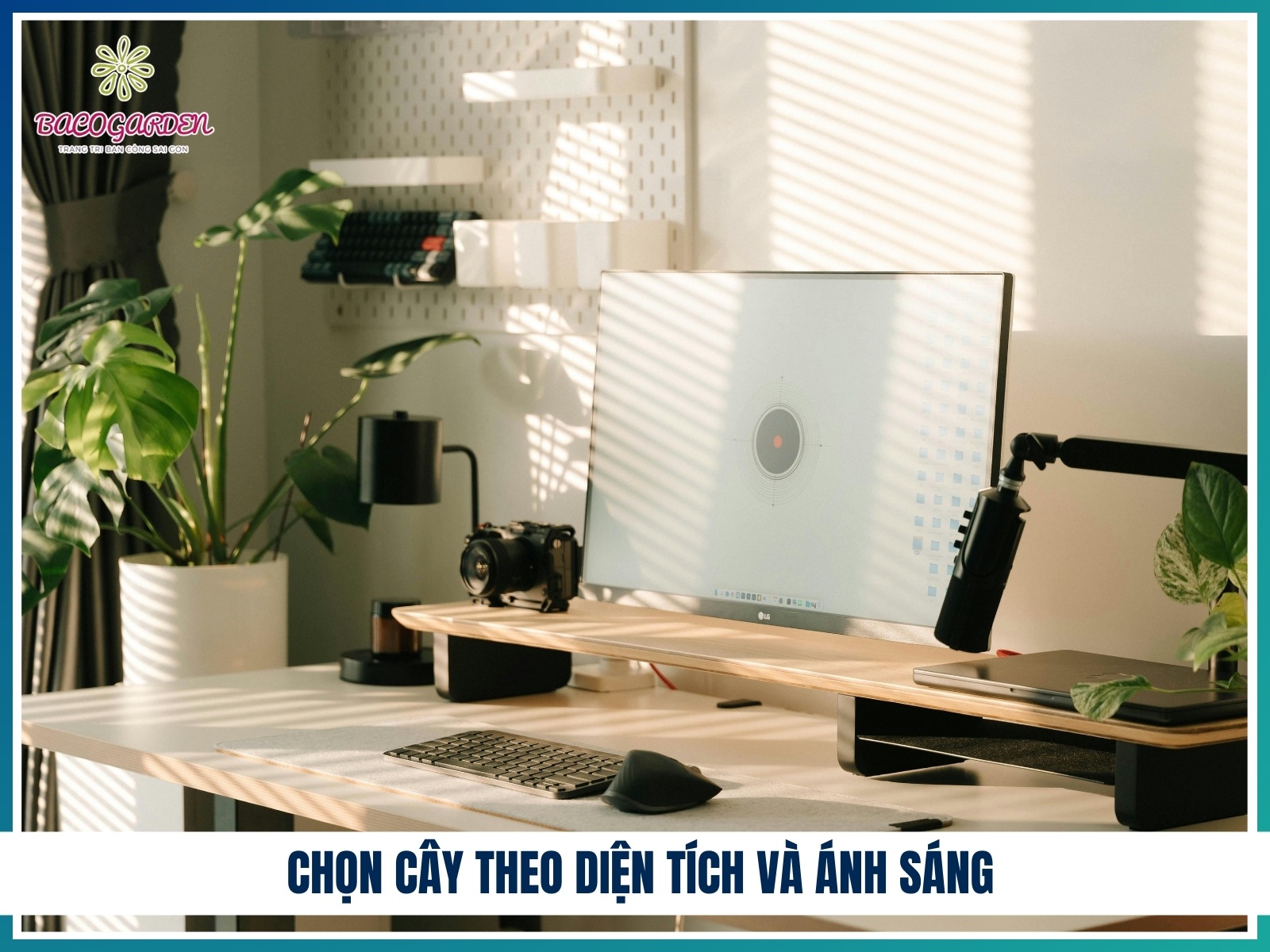 Theo dien tich va anh sang