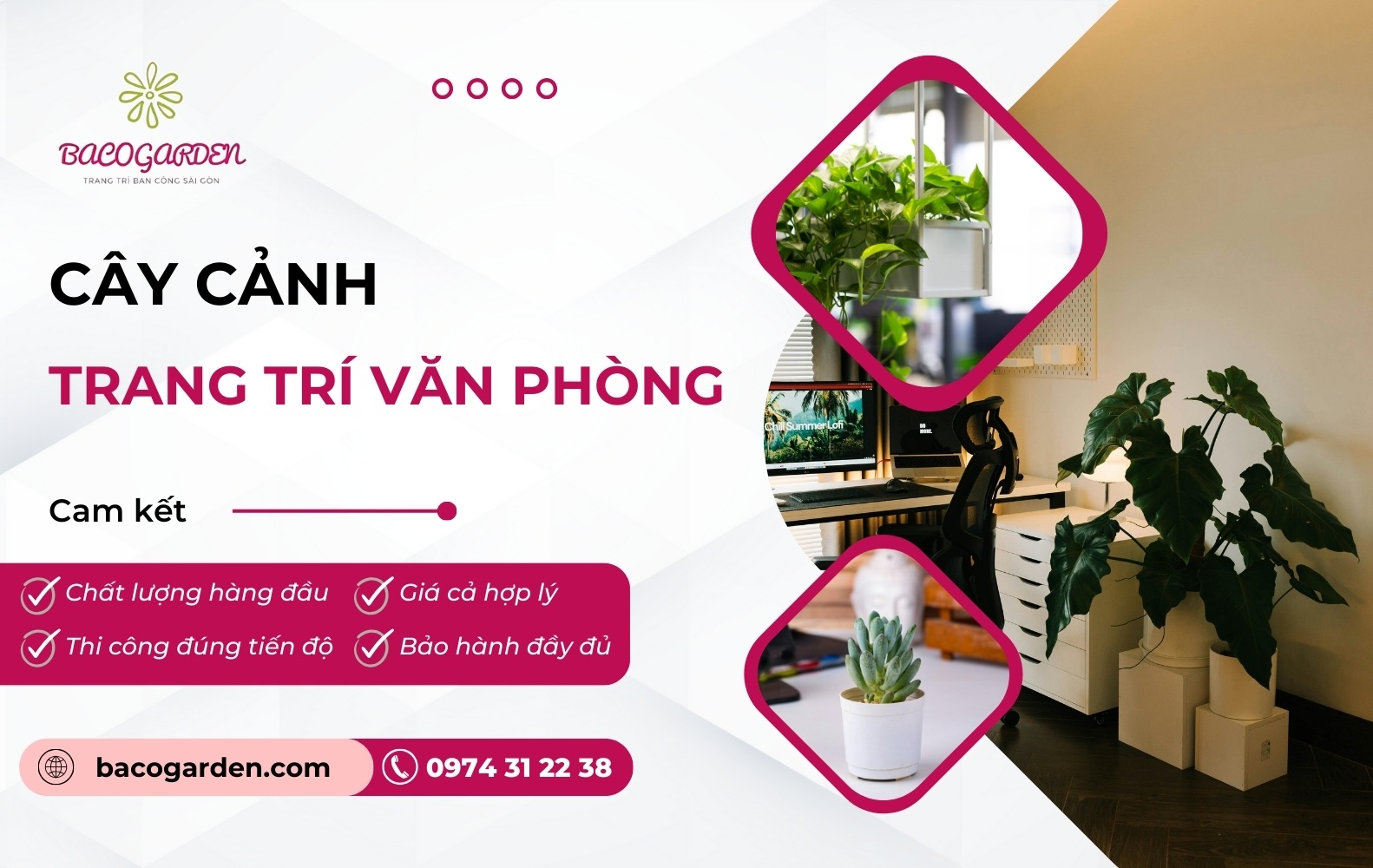 Cay canh trang tri van phong