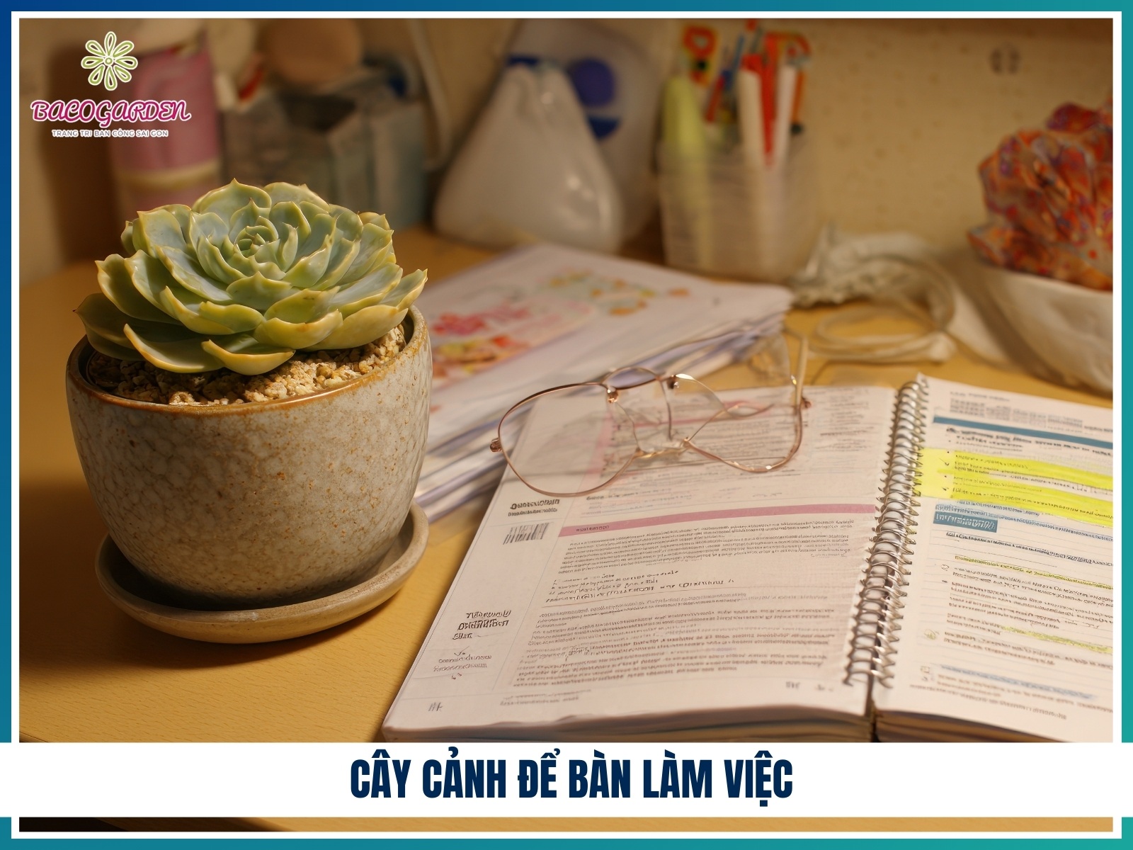 Cay canh de ban lam viec