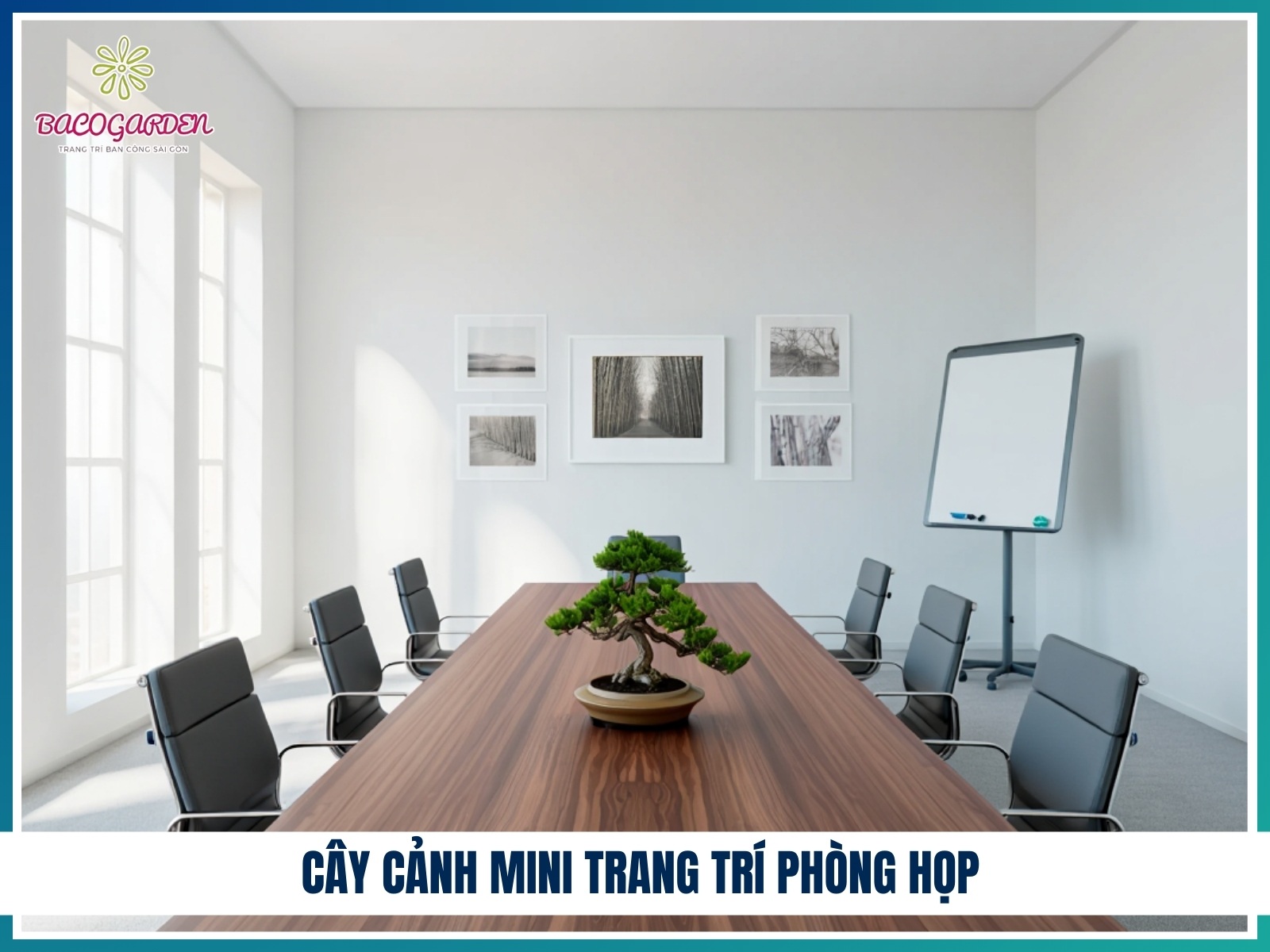 Cay canh mini trang tri phong hop