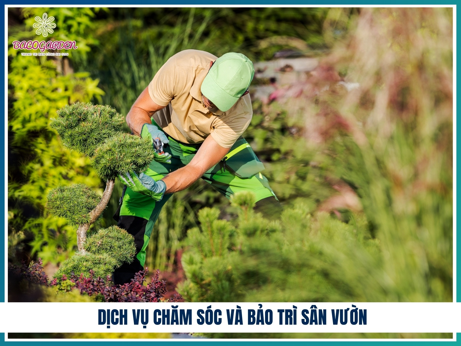 Dich vu cham soc va bao tri san vuon