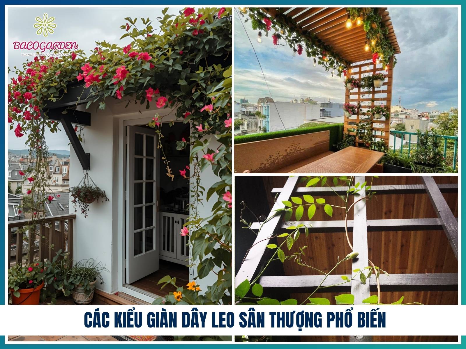Cac kieu gian day leo san thuong pho bien