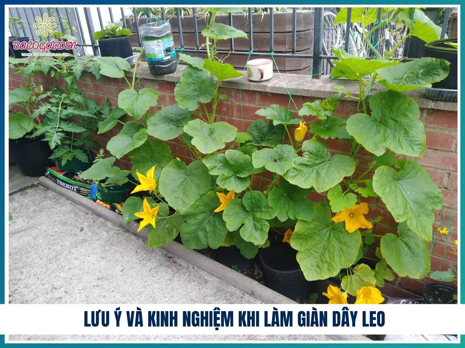 Luu y va kinh nghiem khi lam gian