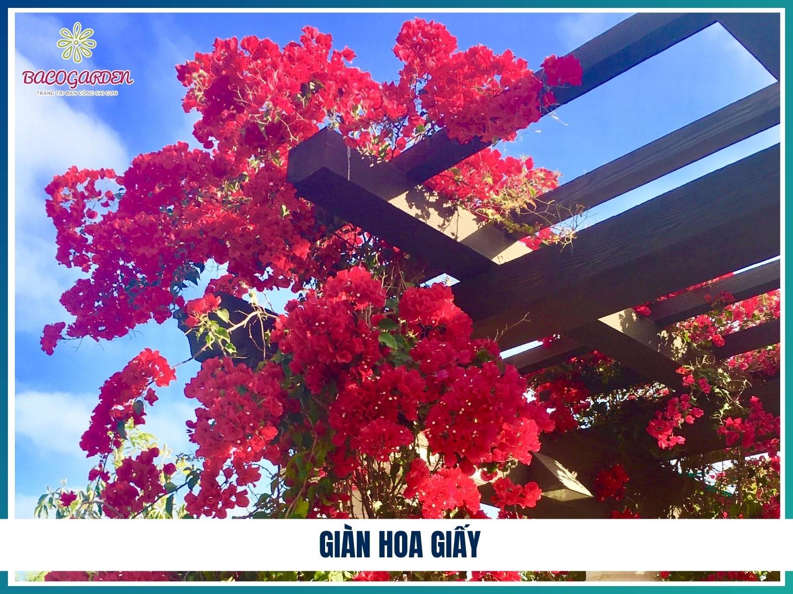 Gian hoa giay