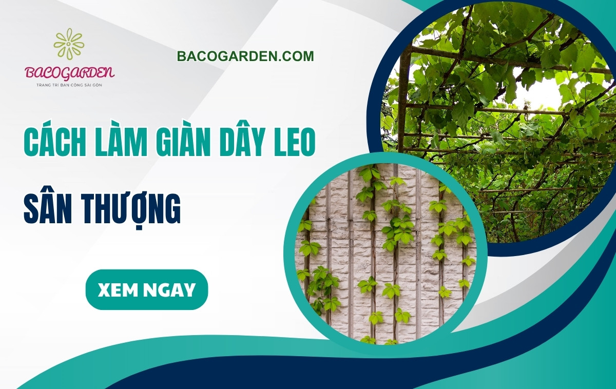 Cách làm giàn dây leo sân thượng đẹp mắt