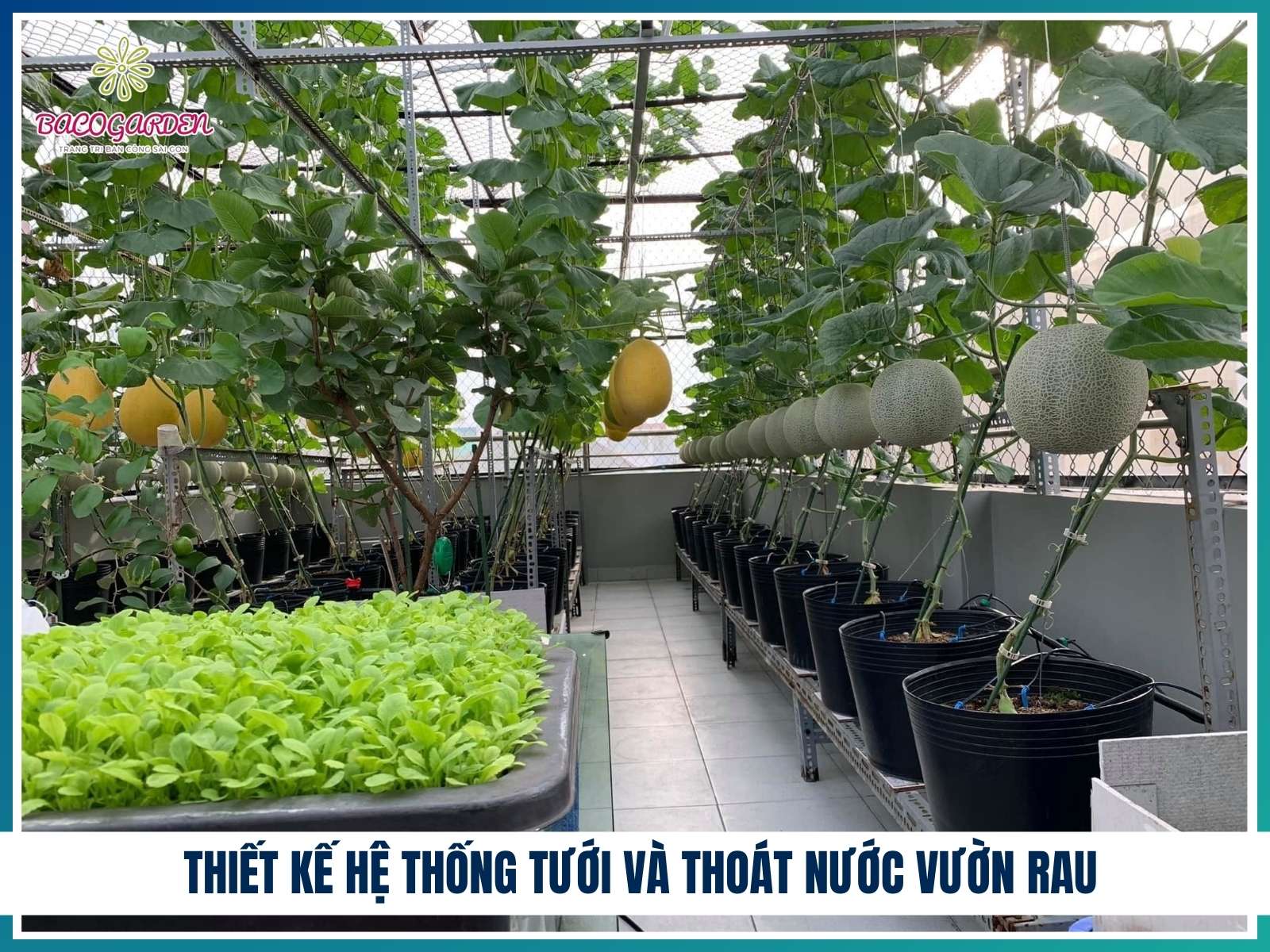 Thiet ke he thong tuoi va thoat nuoc