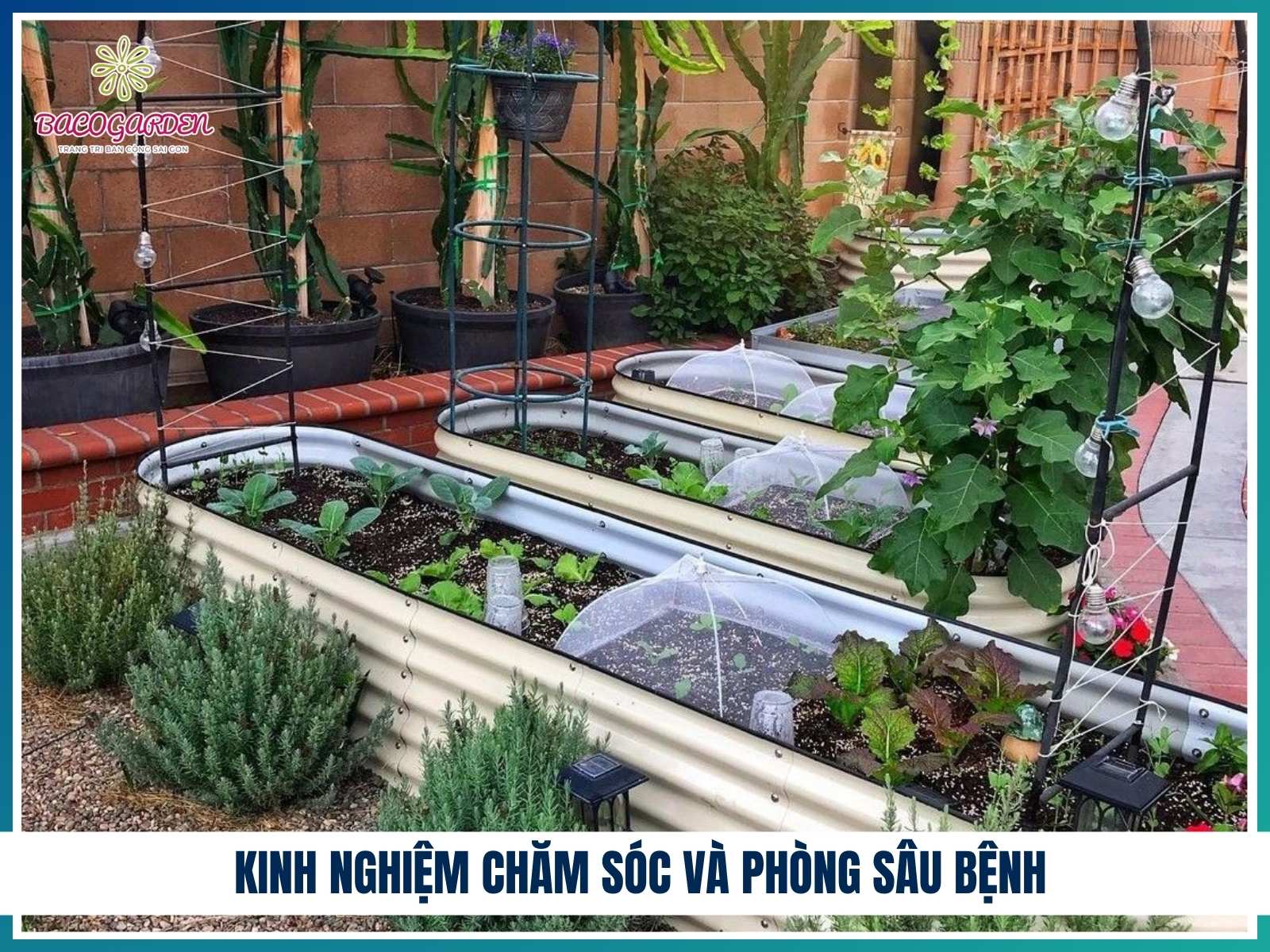 Kinh nghiem cham soc va phong sau benh