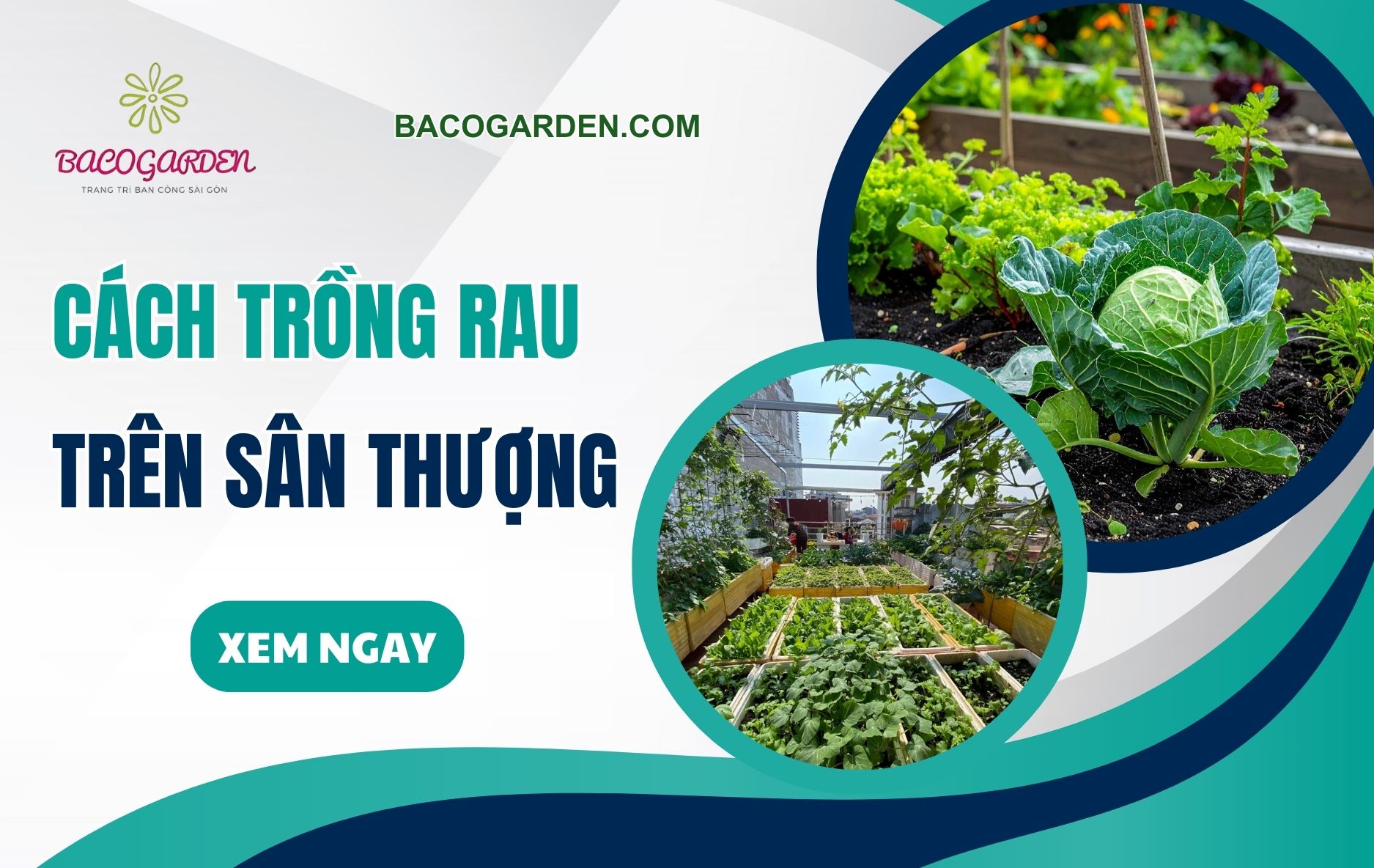 Cach trong rau tren san thuong