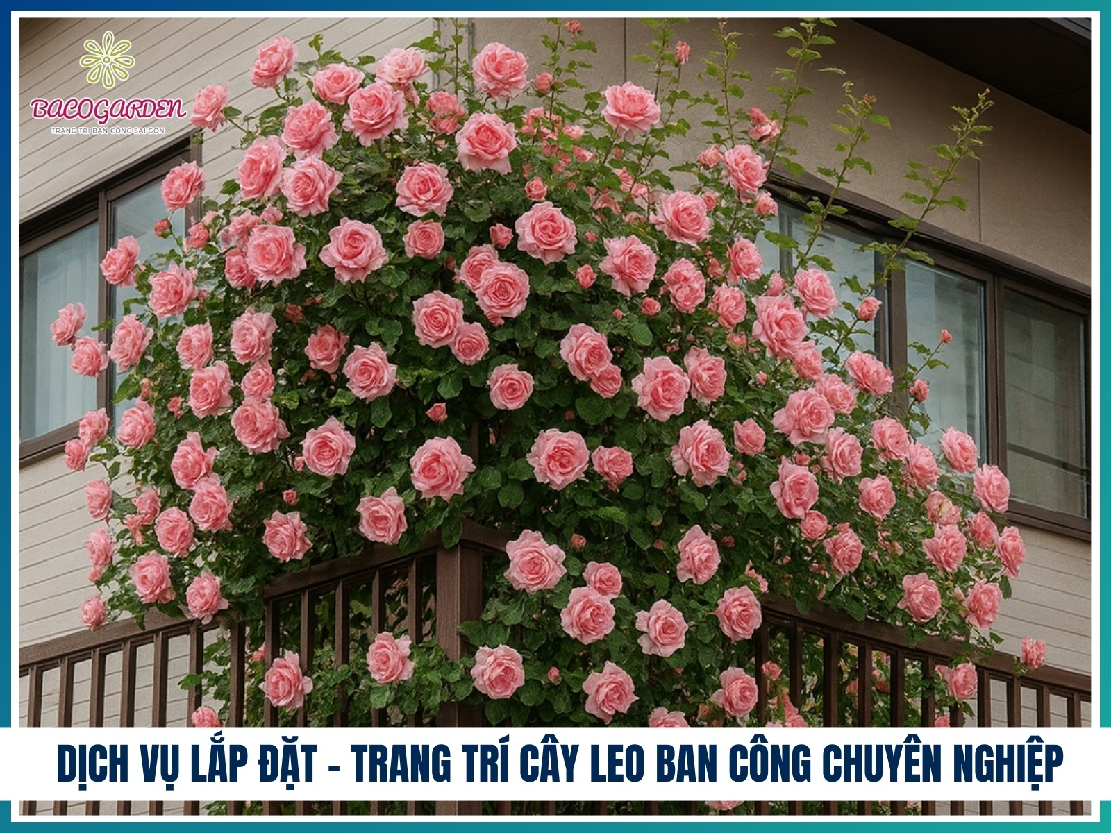 Dich vu lap dat va trang tri cay leo ban cong chuyen nghiep