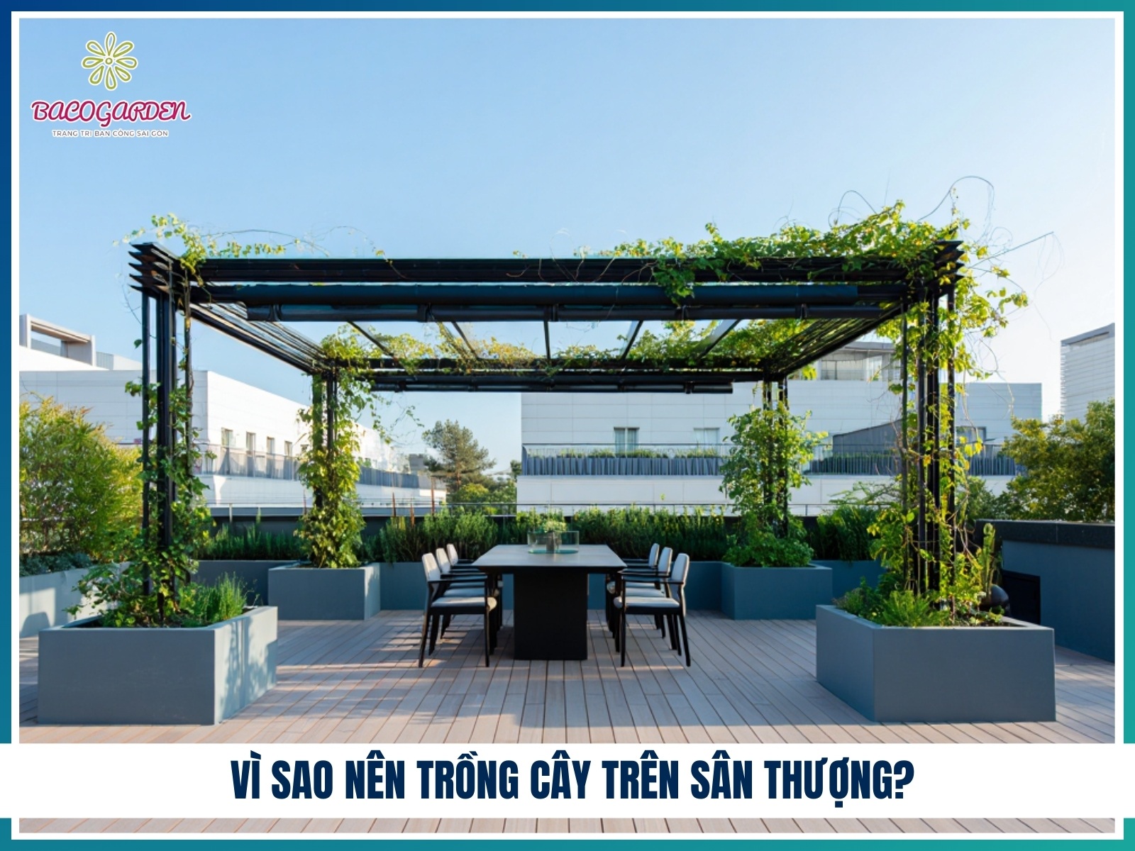 Vì sao nên trồng cây trên sân thượng