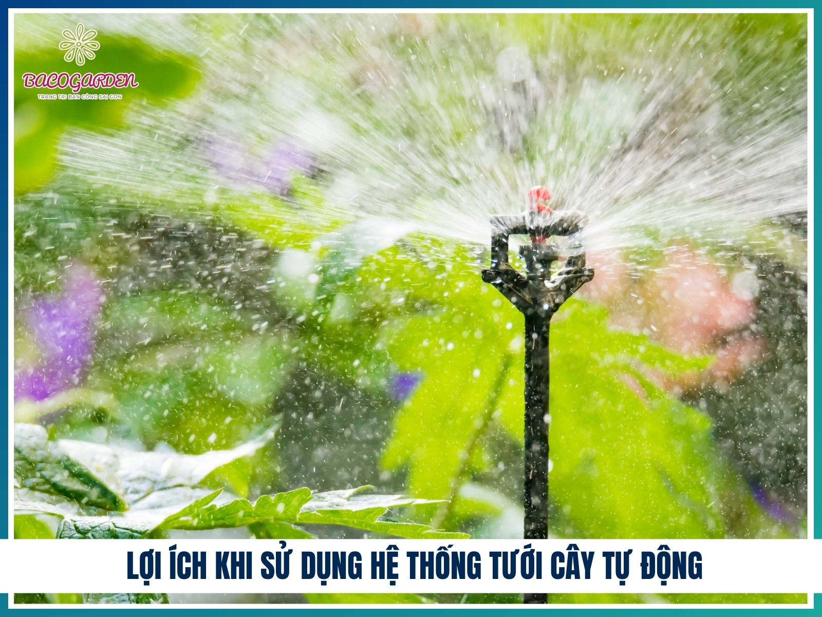 Loi ich khi su dung he thong tuoi cay tu dong