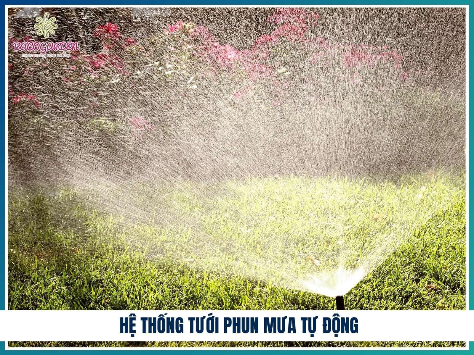 He thong tuoi phun mua tu dong