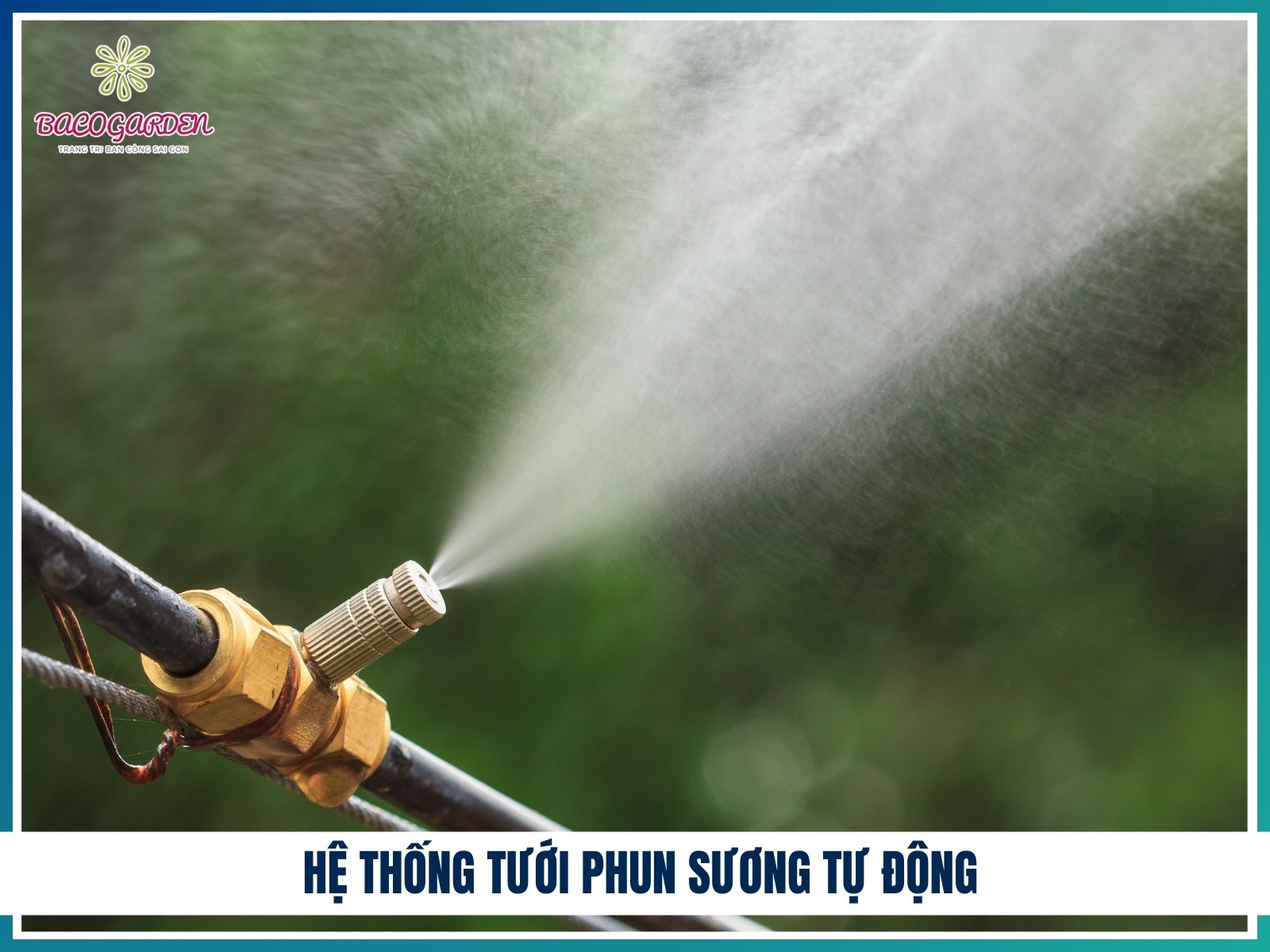 He thong tuoi phun suong tu dong