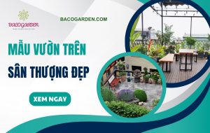 Mau vuon tren san thuong dep