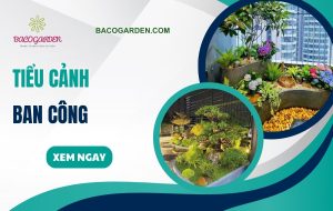 Tieu canh ban cong