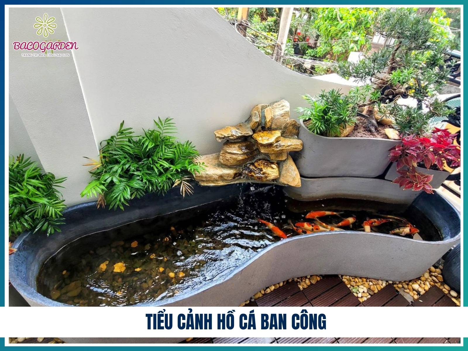 Tieu canh ho ca ban cong