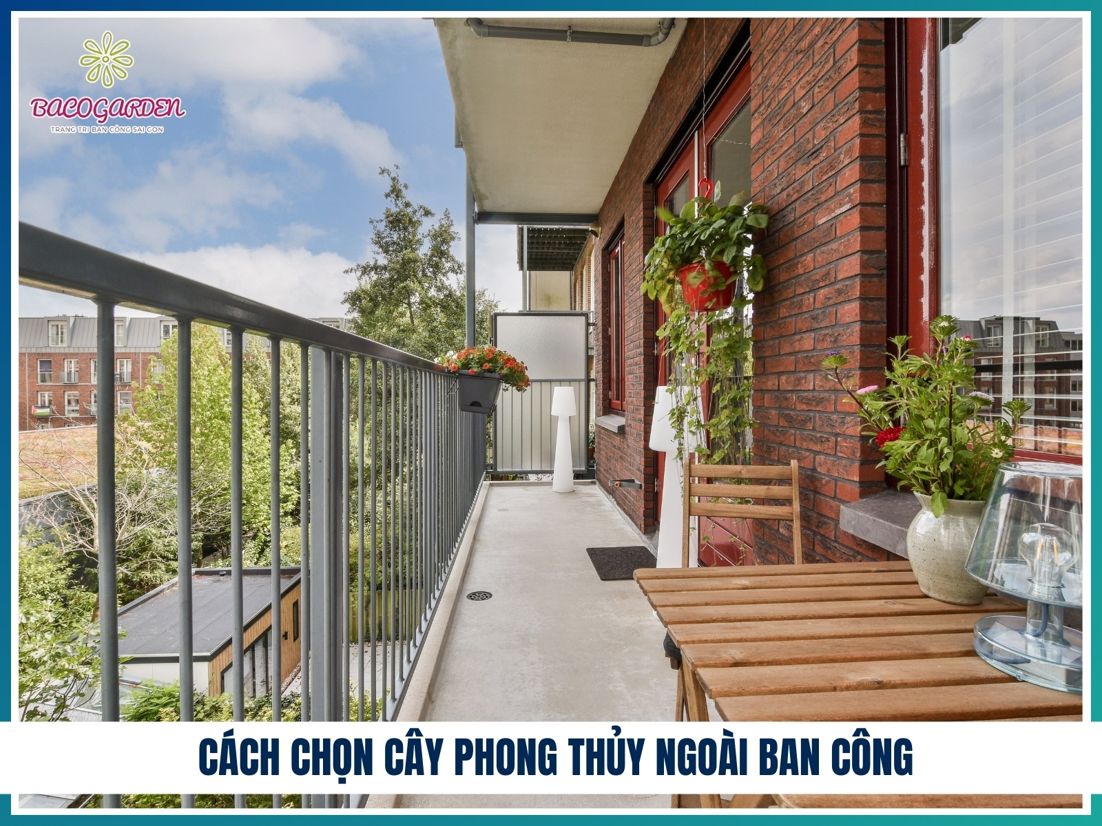 Cach chon cay phong thuy ngoai ban cong hop huong va menh