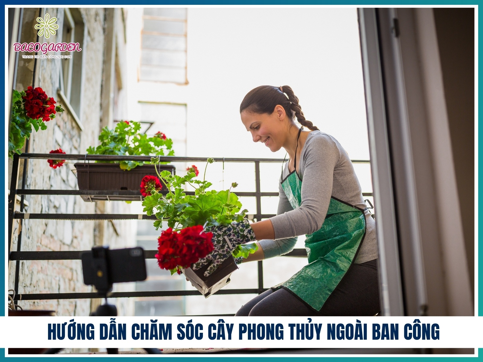 Huong dan cham soc cay phong thuy ngoai ban cong
