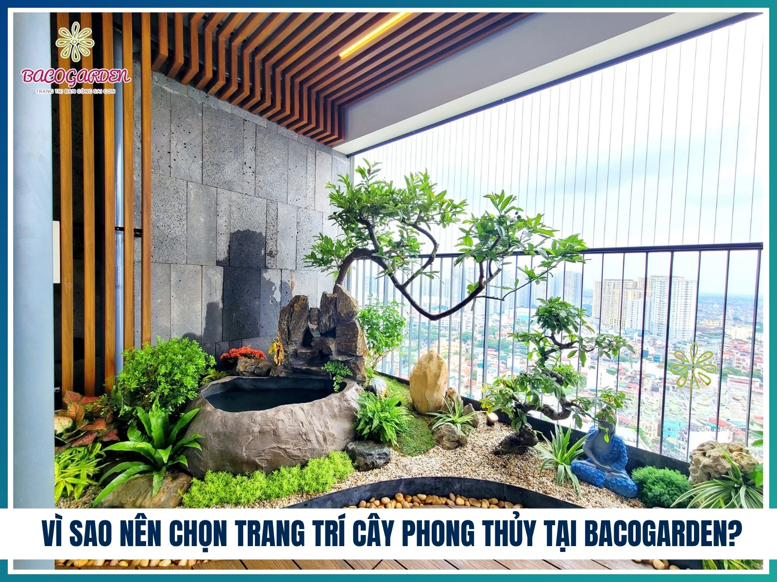 Vi sao nen chon trang tri cay phong thuy tai BACOGARDEN
