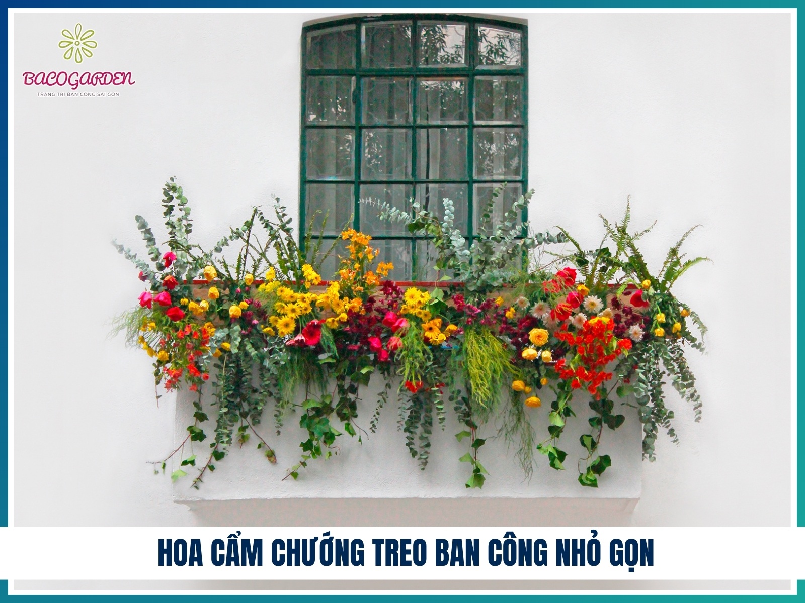 Hoa cam chuong treo ban cong nho gon