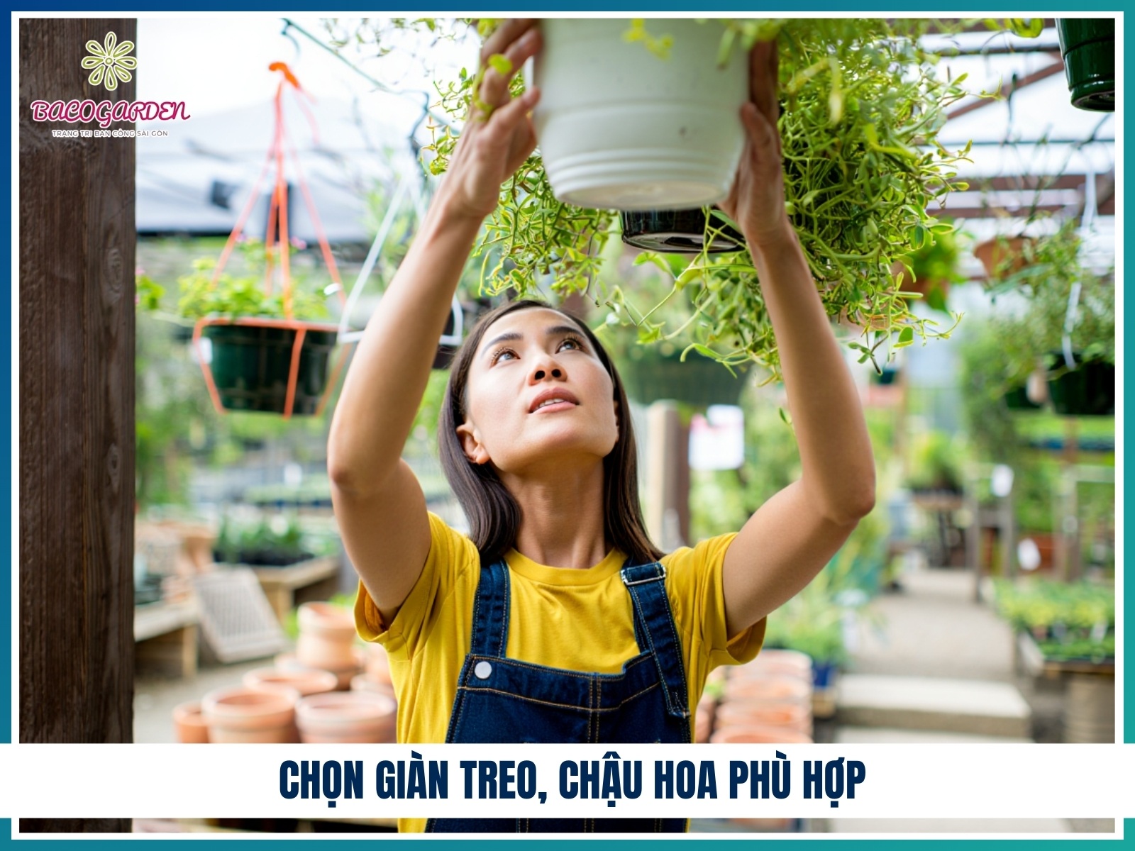 Chon gian treo chau hoa phu hop