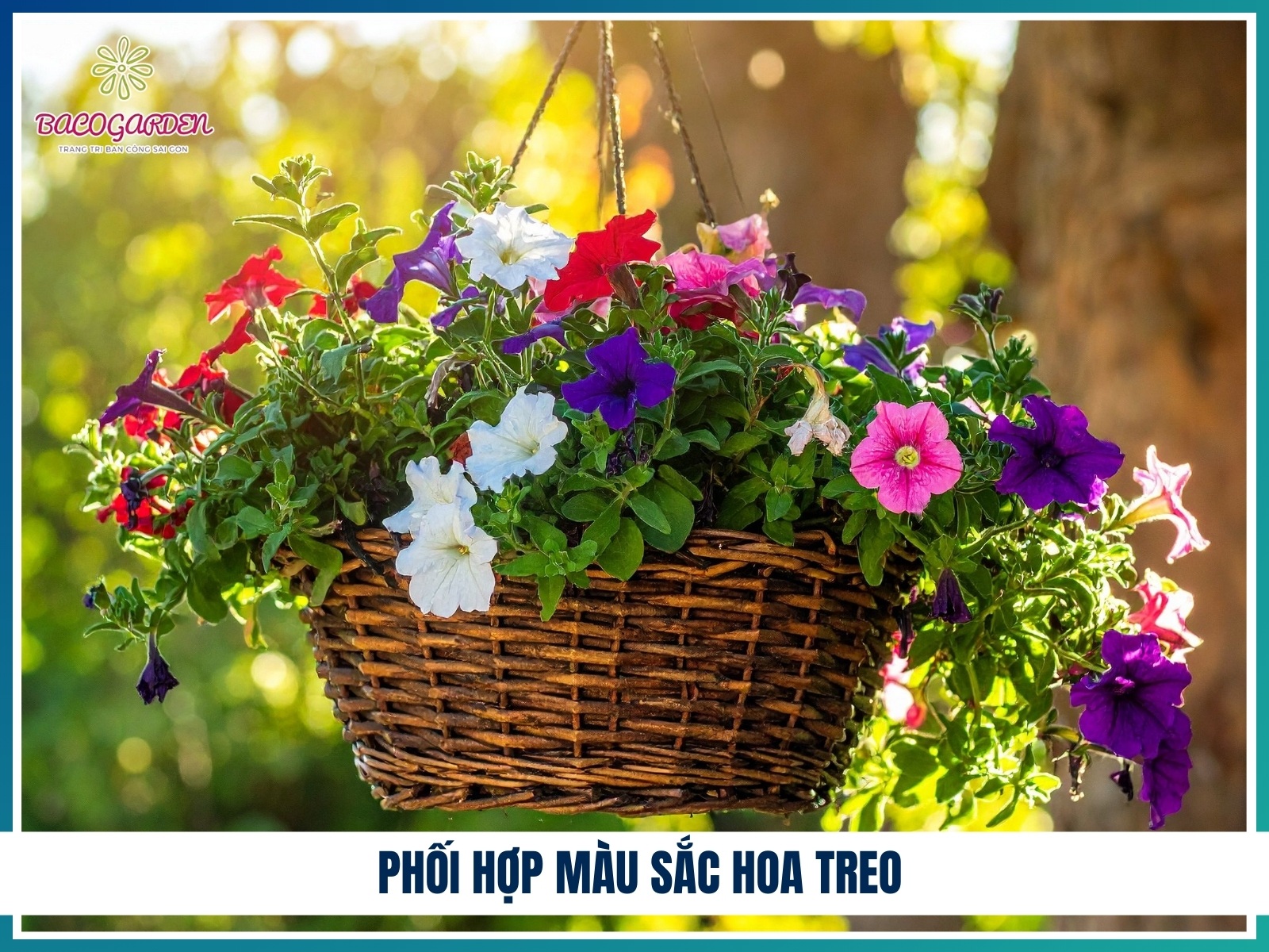 Phoi hop mau sac hoa treo