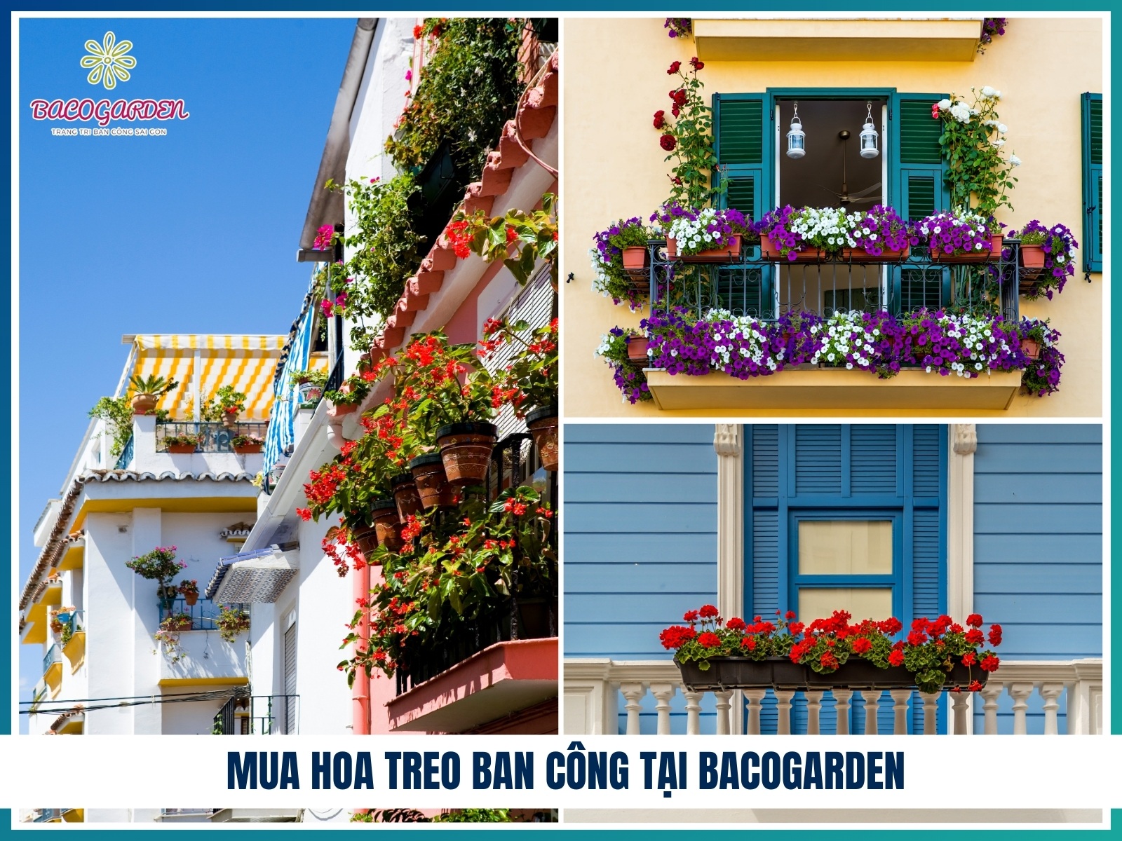 Mua hoa treo ban cong tai BACOGARDEN