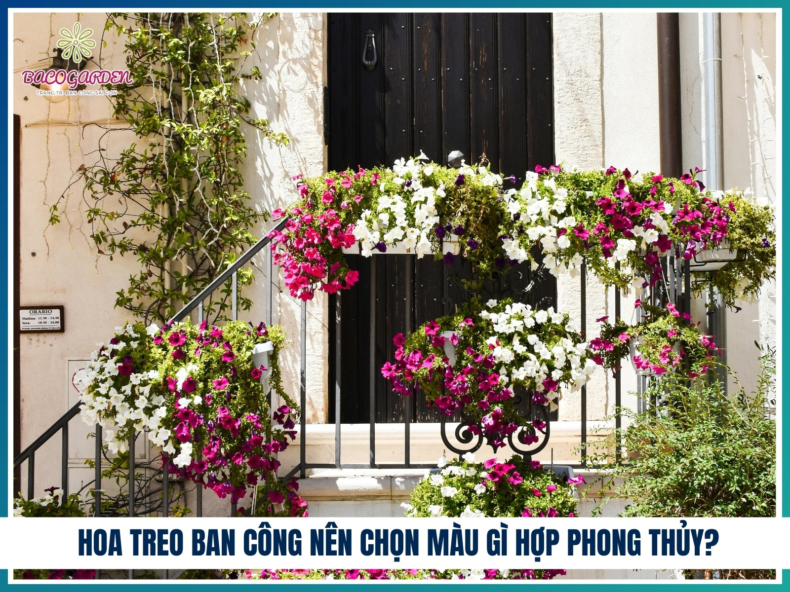Hoa treo ban cong nen chon mau gi hop phong thuy