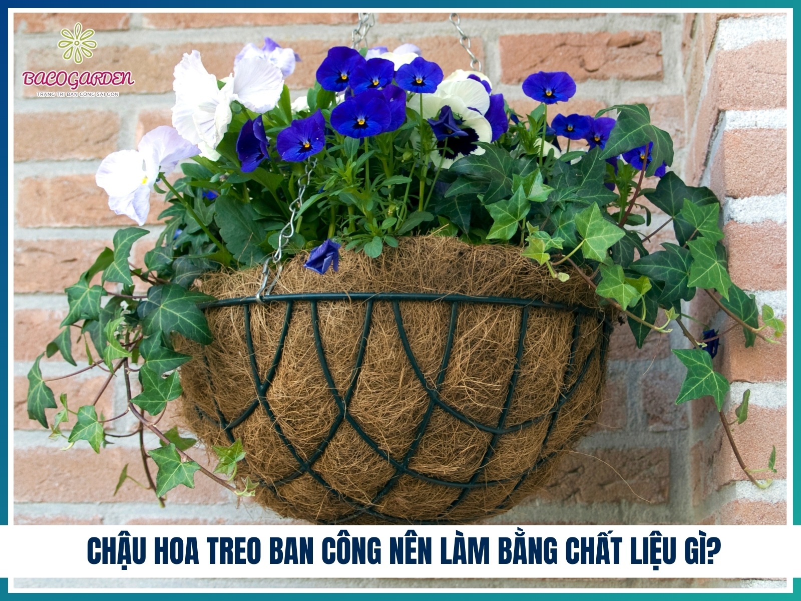 Chau hoa treo ban cong nen lam bang chat lieu gi