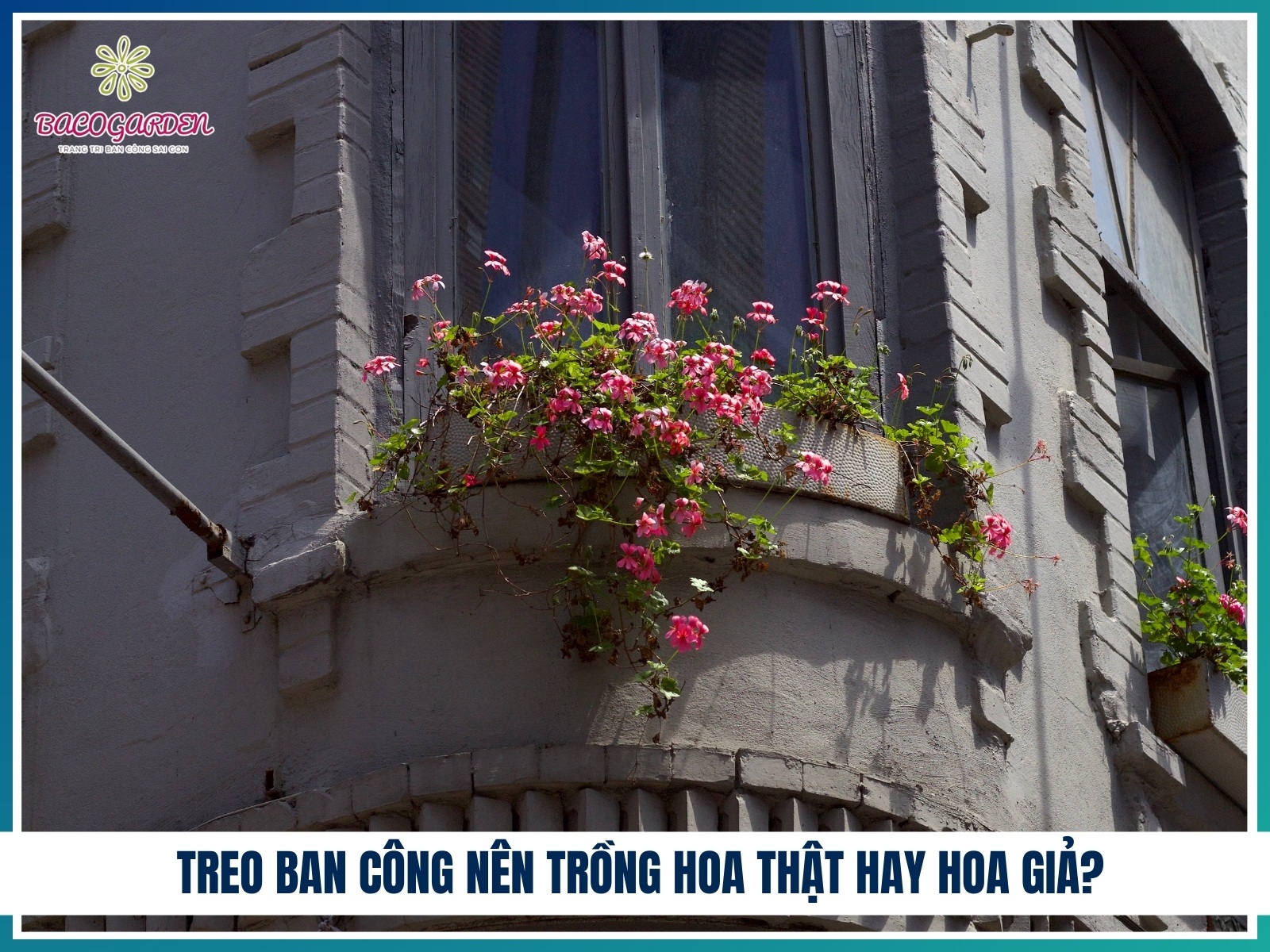 Treo ban cong nen trong hoa that hay hoa gia