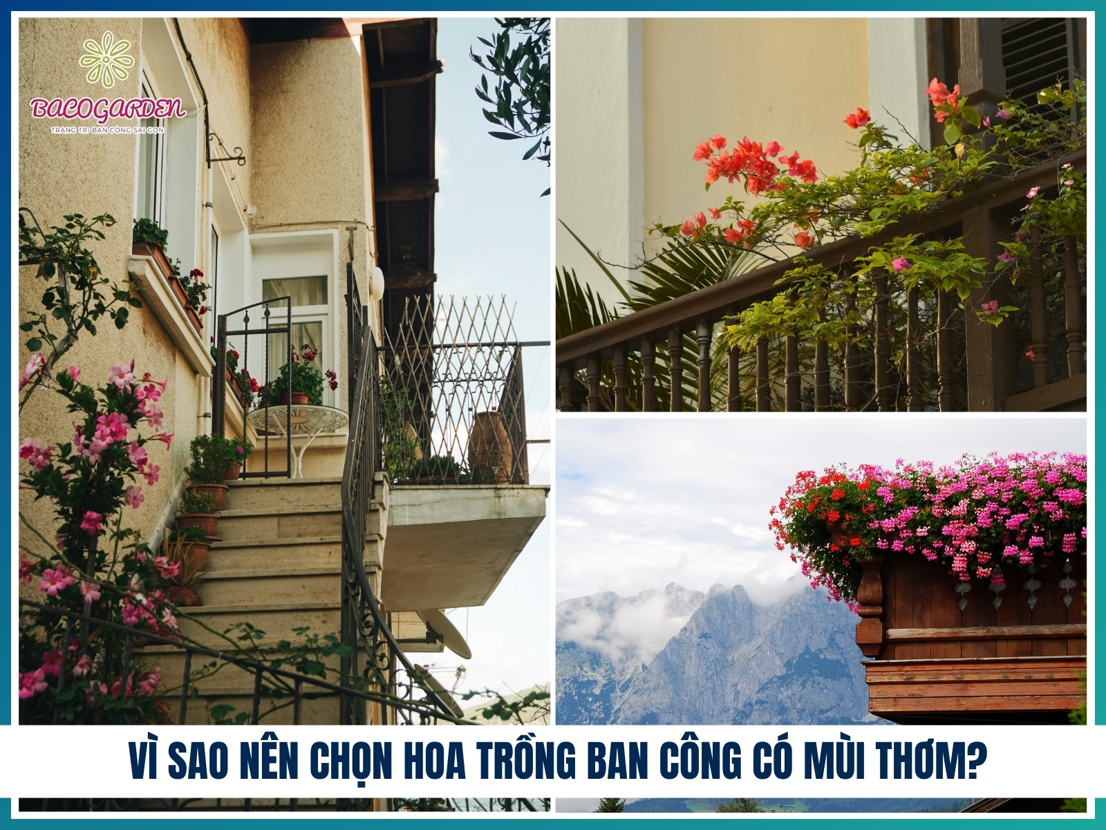 Vi sao nen chon hoa trong ban cong co mui thom