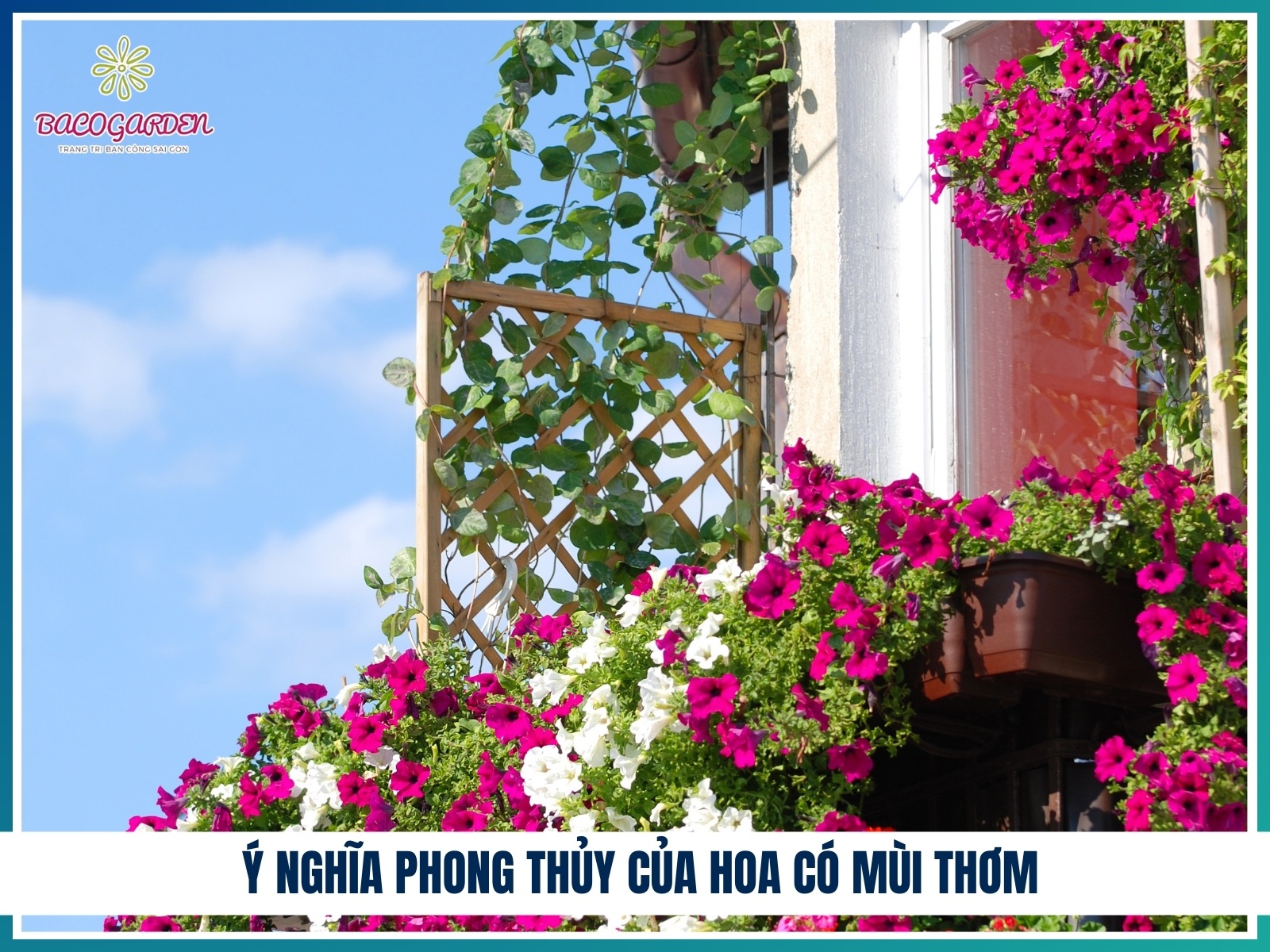Y nghia phong thuy cua hoa co mui thom