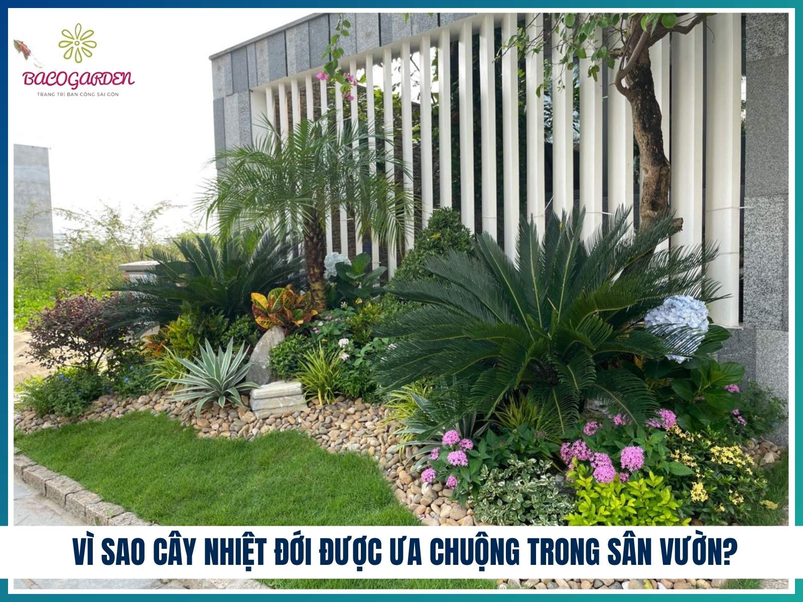 Vì sao các loại cây nhiệt đới được ưa chuộng trong thiết kế sân vườn?