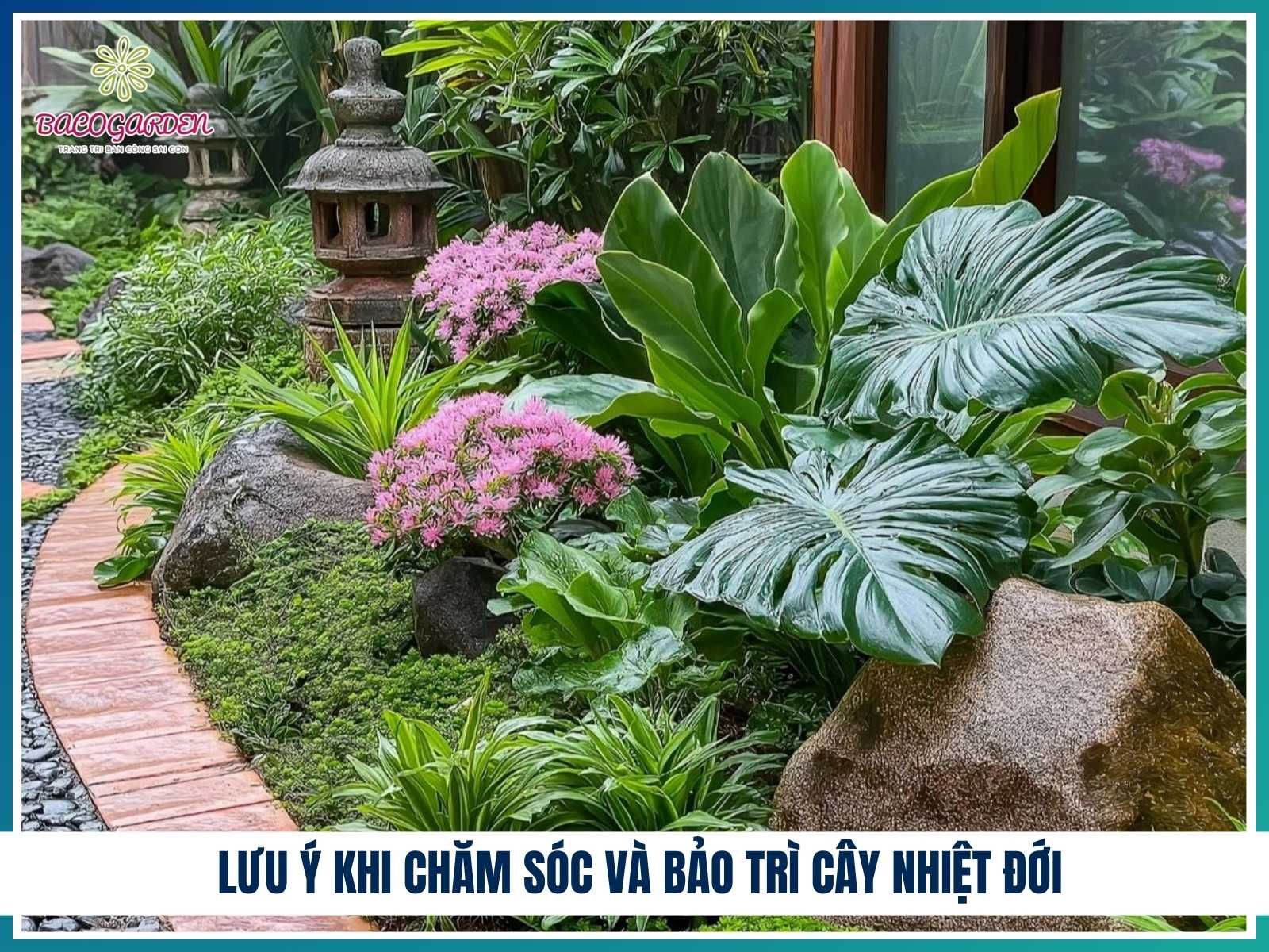 Những lưu ý khi chăm sóc và bảo trì cây nhiệt đới