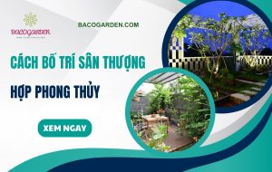 Cách bố trí sân thượng hợp phong thủy THU HÚT tài lộc
