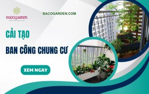 10+ ý tưởng cải tạo ban công chung cư độc đáo đẹp MÊ HỒN