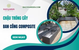 Chậu trồng cây ban công Composite BỀN ĐẸP hiện đại